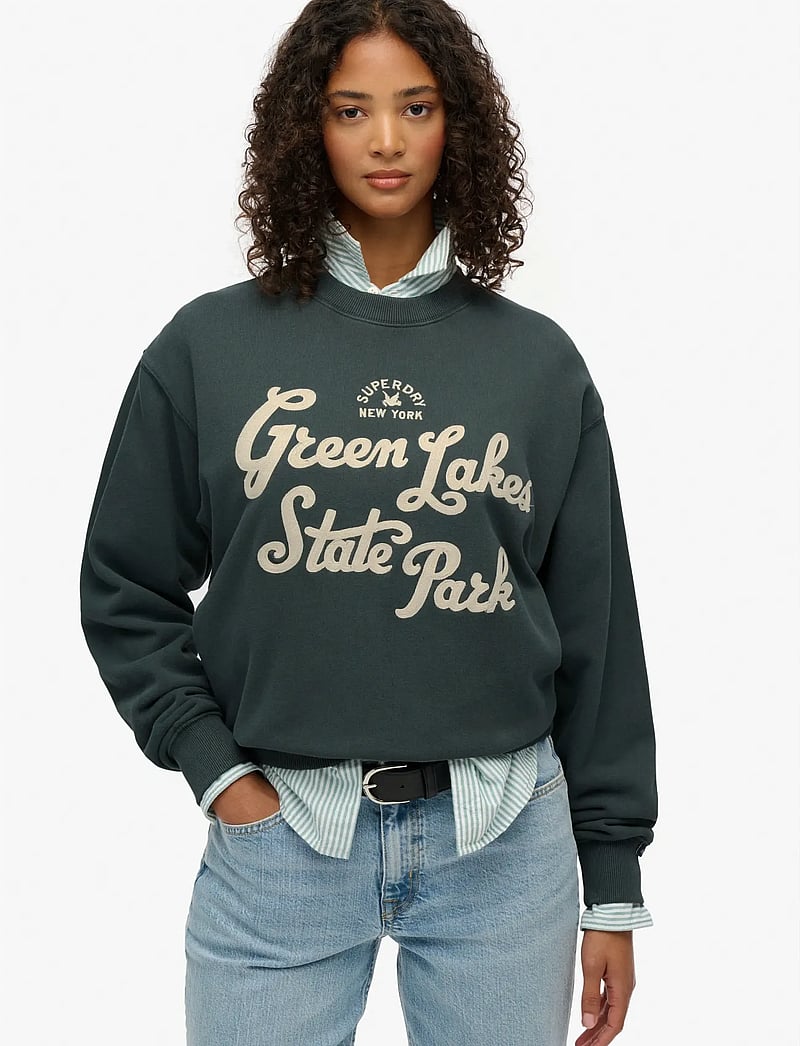 Superdry - LO-FI OUTDOOR LOOSE CREW - vardagsstil - dark forest - 0