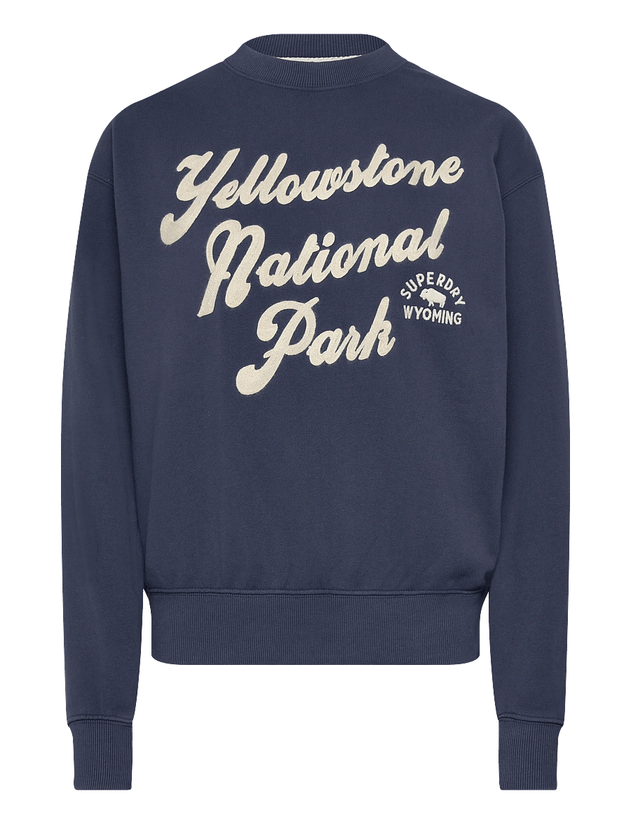 Superdry - LO-FI OUTDOOR LOOSE CREW - sweatshirts - lauren navy - 1