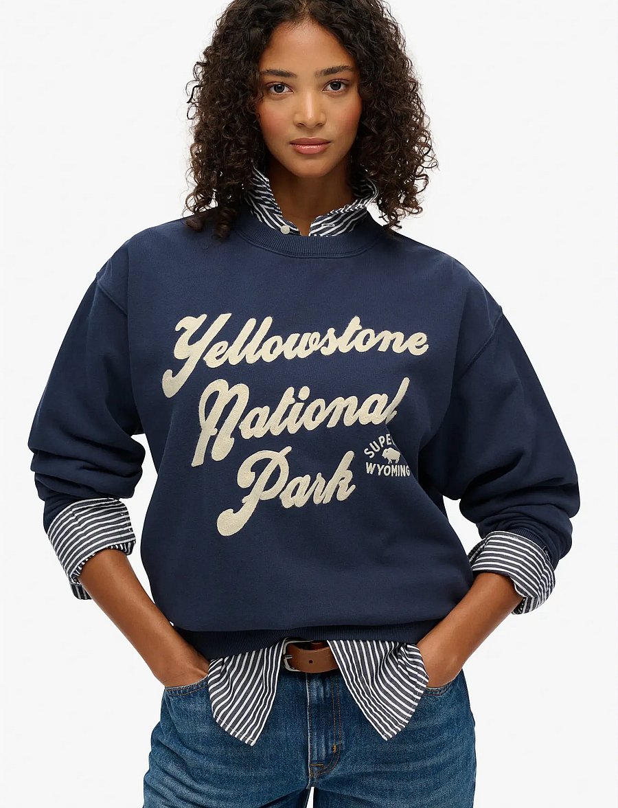 Superdry - LO-FI OUTDOOR LOOSE CREW - sweatshirts - lauren navy - 0