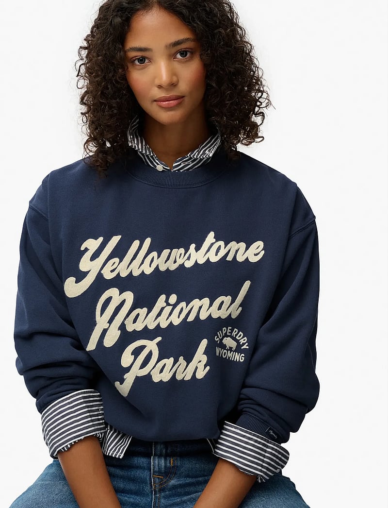 Superdry - LO-FI OUTDOOR LOOSE CREW - hverdags stil - lauren navy - 4