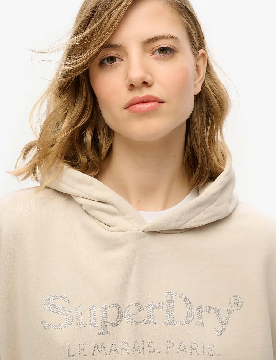 Superdry - VENUE METALLIC RELAXED HOOD - kapuzenpullover - pumice stone beige - 2