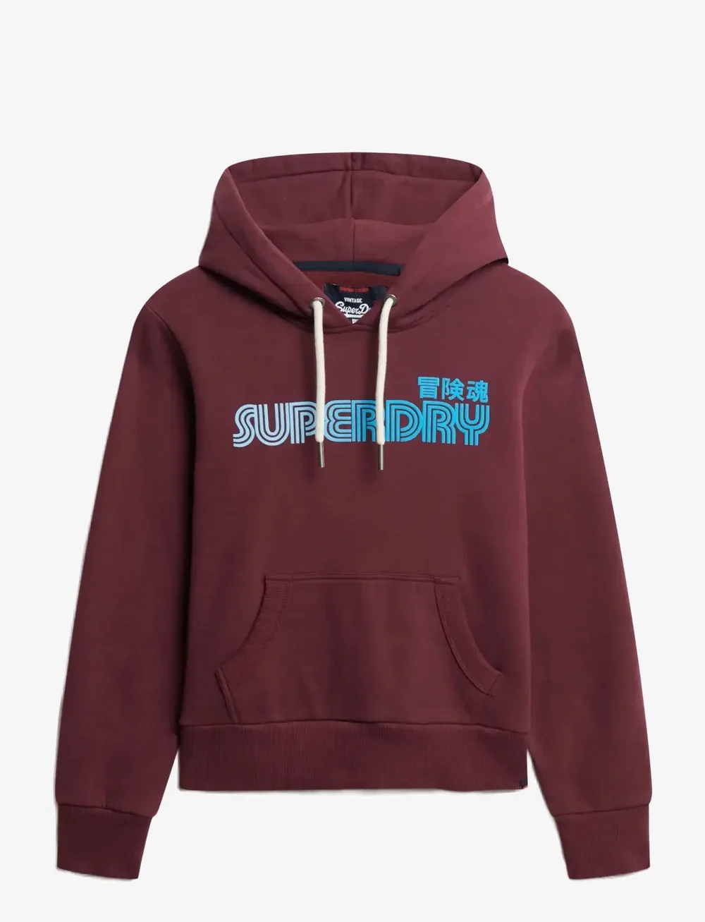 Superdry - FADED CORE HOOD - hættetrøjer - fig purple - 0
