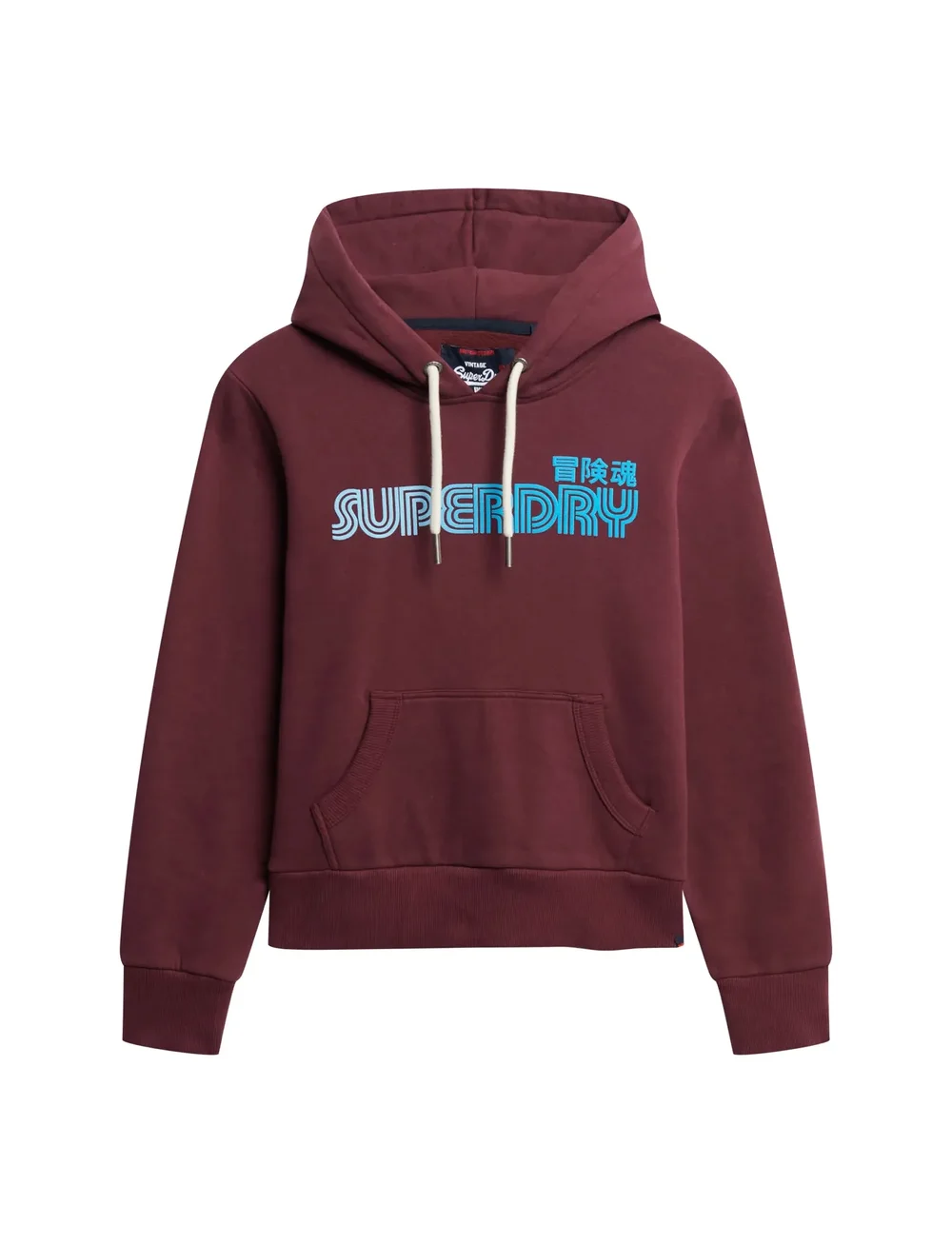 Superdry - FADED CORE HOOD - hættetrøjer - fig purple - 1