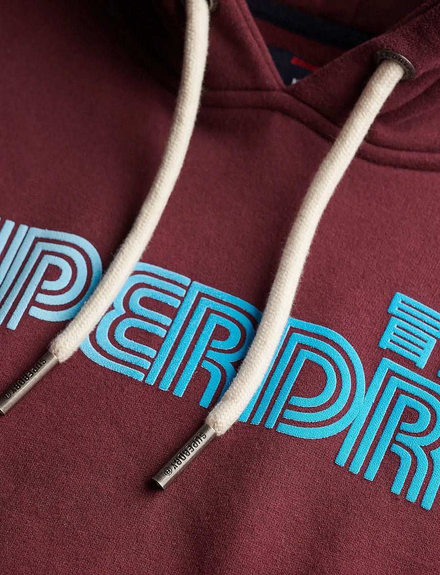 Superdry - FADED CORE HOOD - hoodies - fig purple - 2