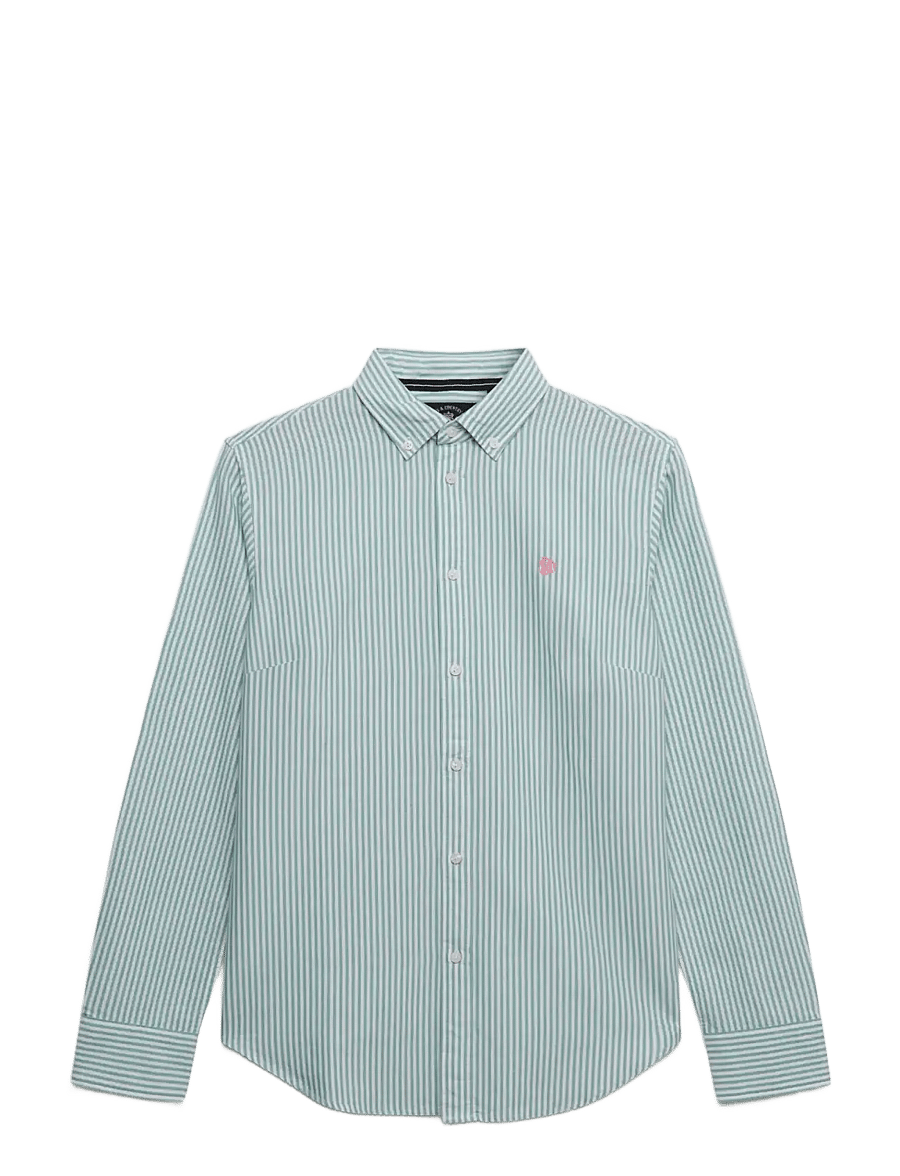 Superdry - SLIM OXFORD BD L,S SHIRT - langærmede skjorter - peppermint chalk stripe oxford - 1