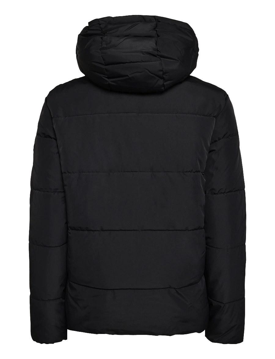 Superdry - PREMIUM HOOD PUFFER JKT - Žieminės striukės - black - 2
