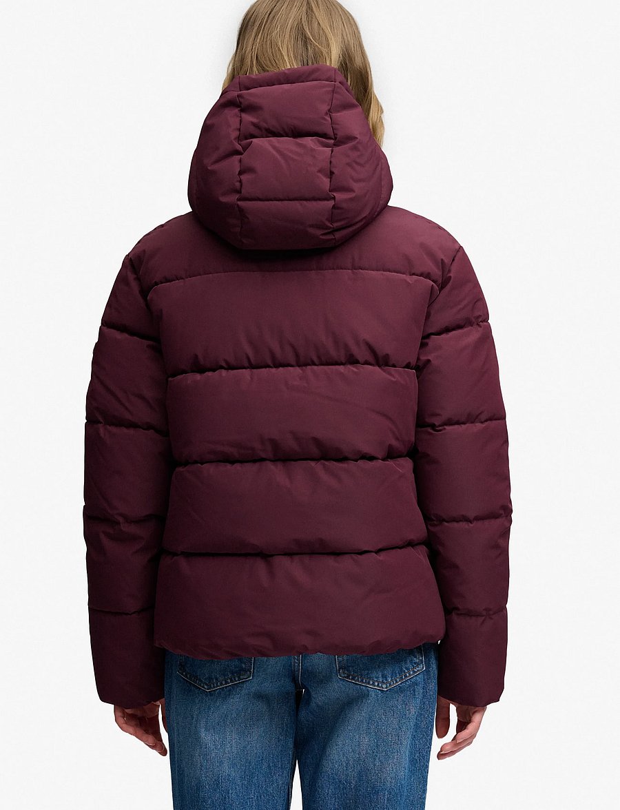 Superdry - PREMIUM HOOD PUFFER JKT - winterjacken - fig purple - 5