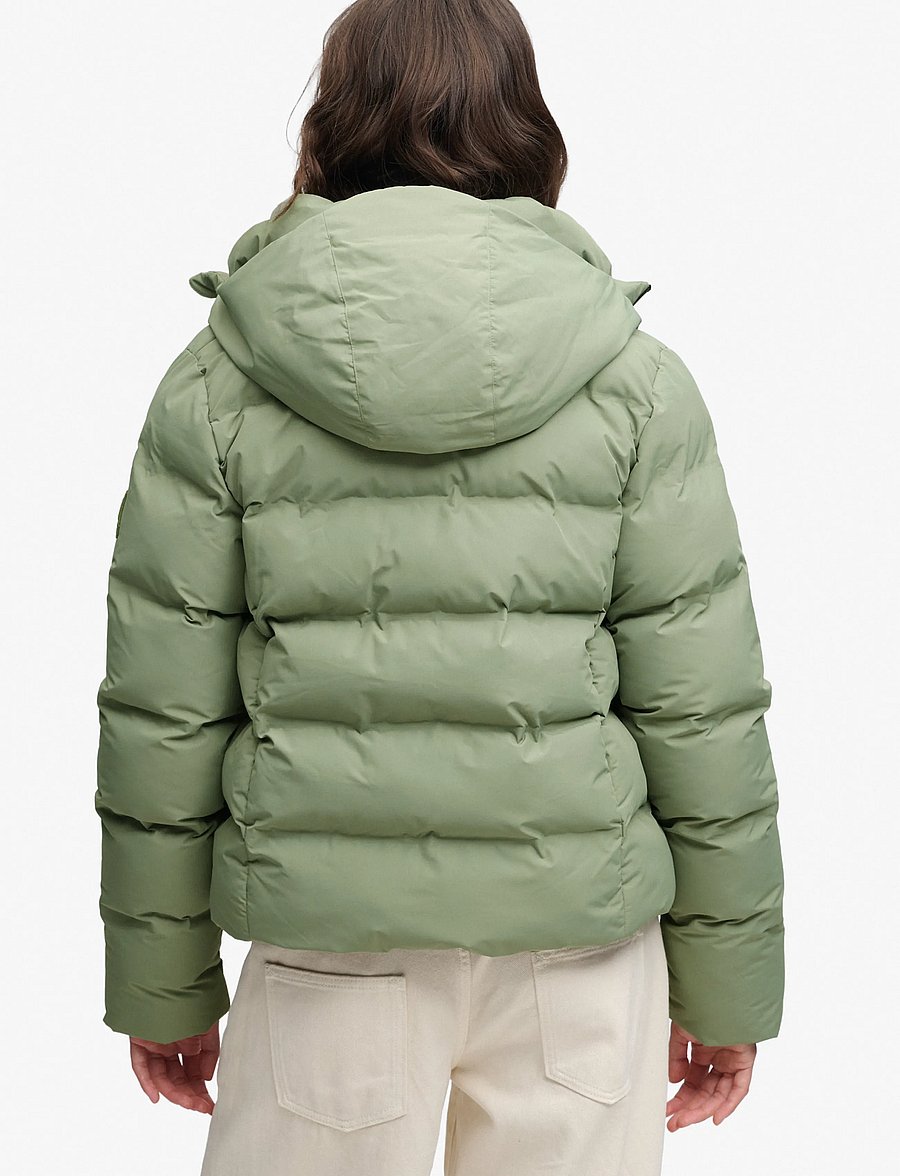 Superdry - HOODED CITY PADDED JACKET - winterjacken - light khaki green - 2
