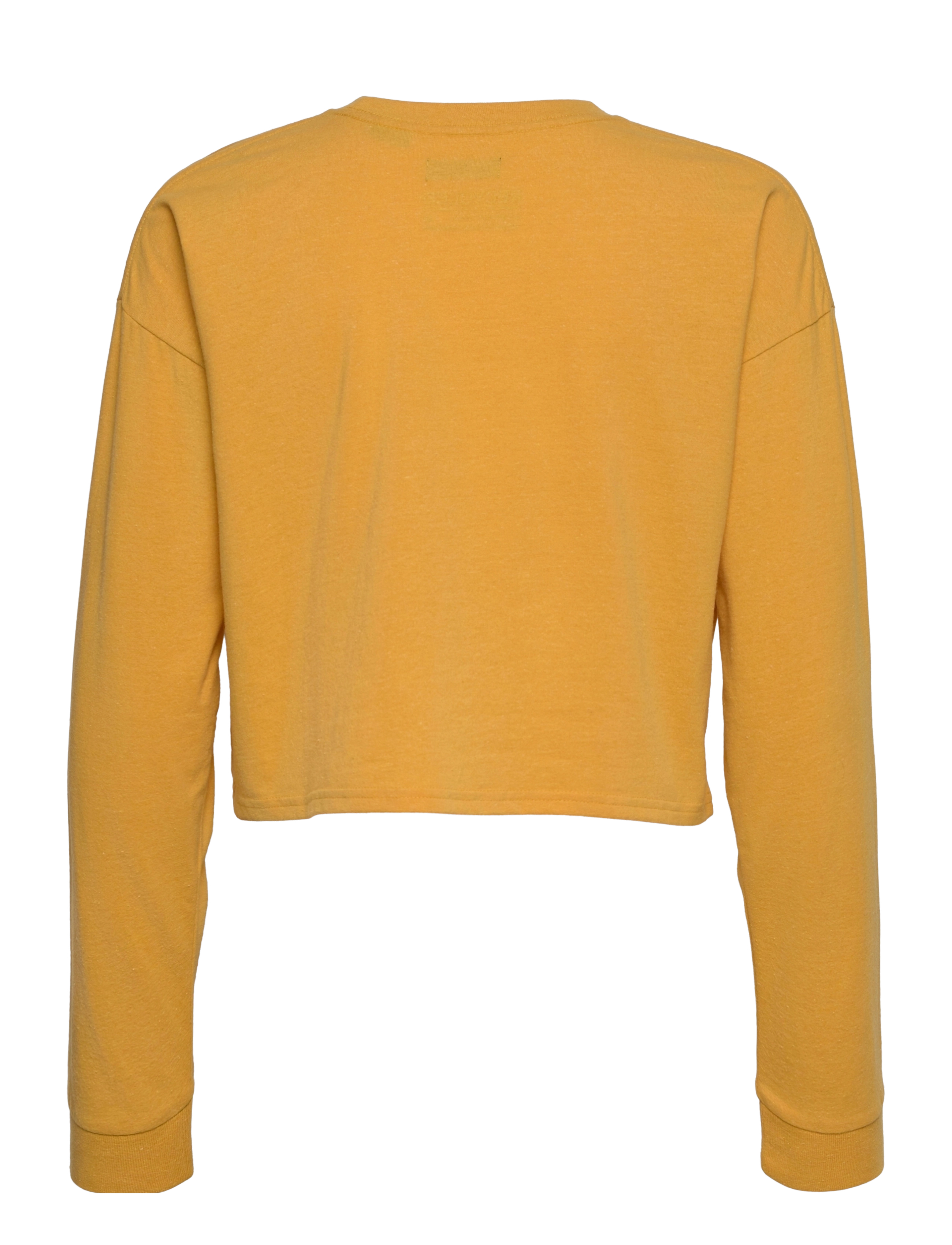 Superdry - VINTAGE CROP L/S TOP - desert beige marl - 1