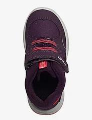 Superfit - COOPER - laisvalaikio batai aukštu aulu - purple/red - 3