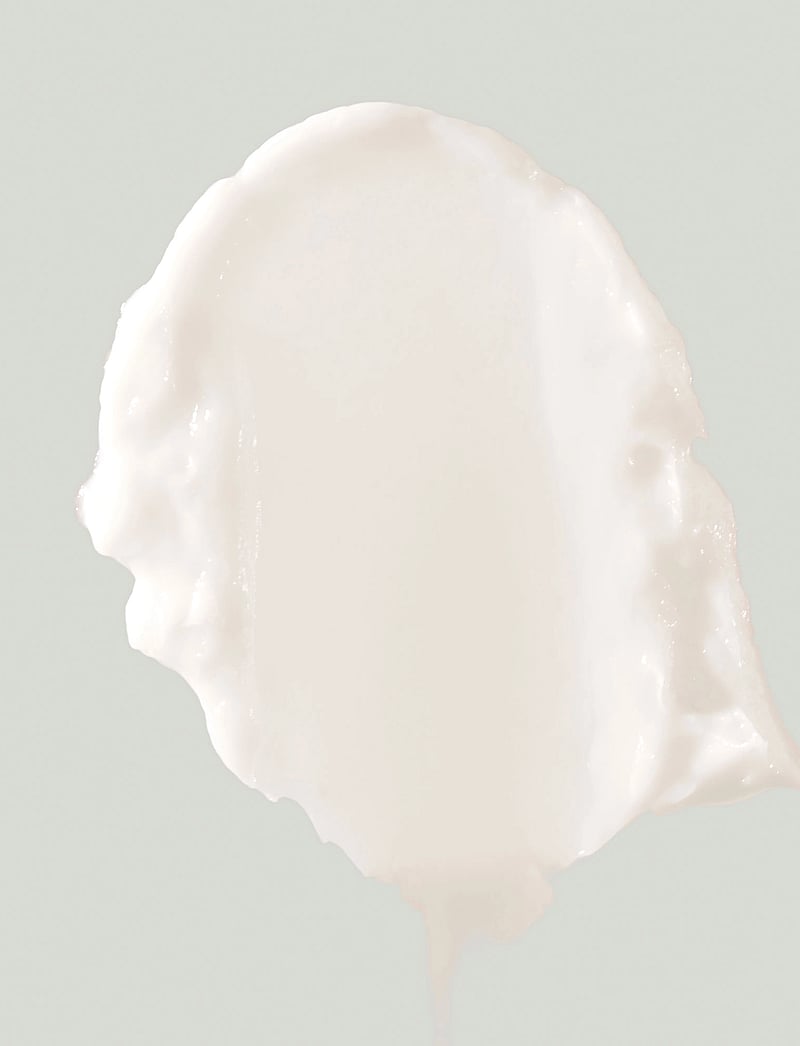 Susanne Kaufman - MOISTURISING DAY FLUID 50 ML - päevakreemid - clear - 2