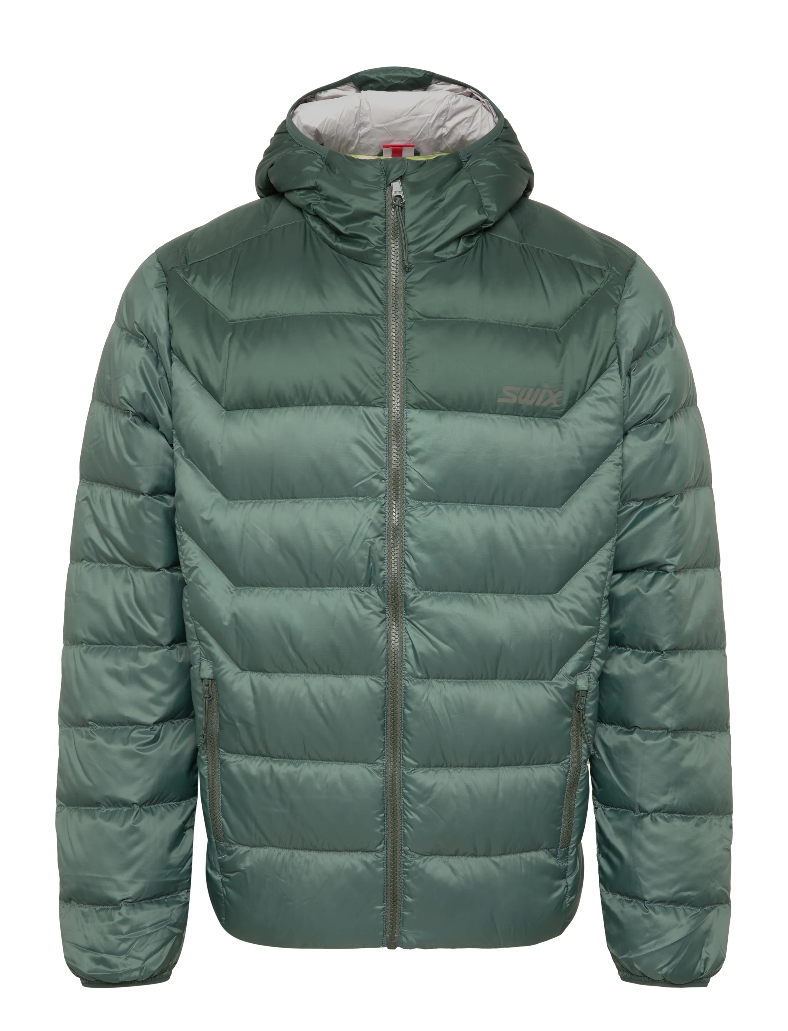 62451-PINE/FOREST