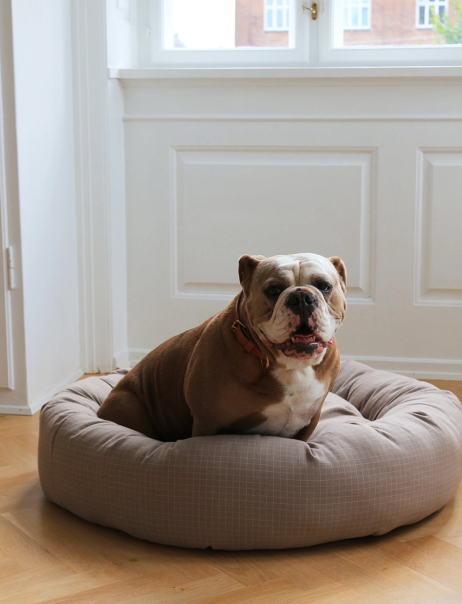 tadazhi - Donut bed - check dark sand - 3