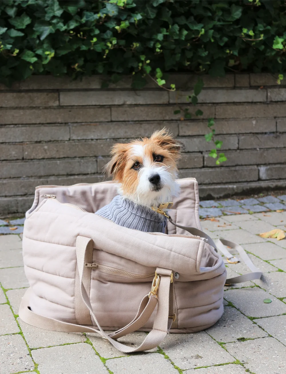 tadazhi - RIO dog carrier bag - weihnachtsgeschenke - dark sand - 2