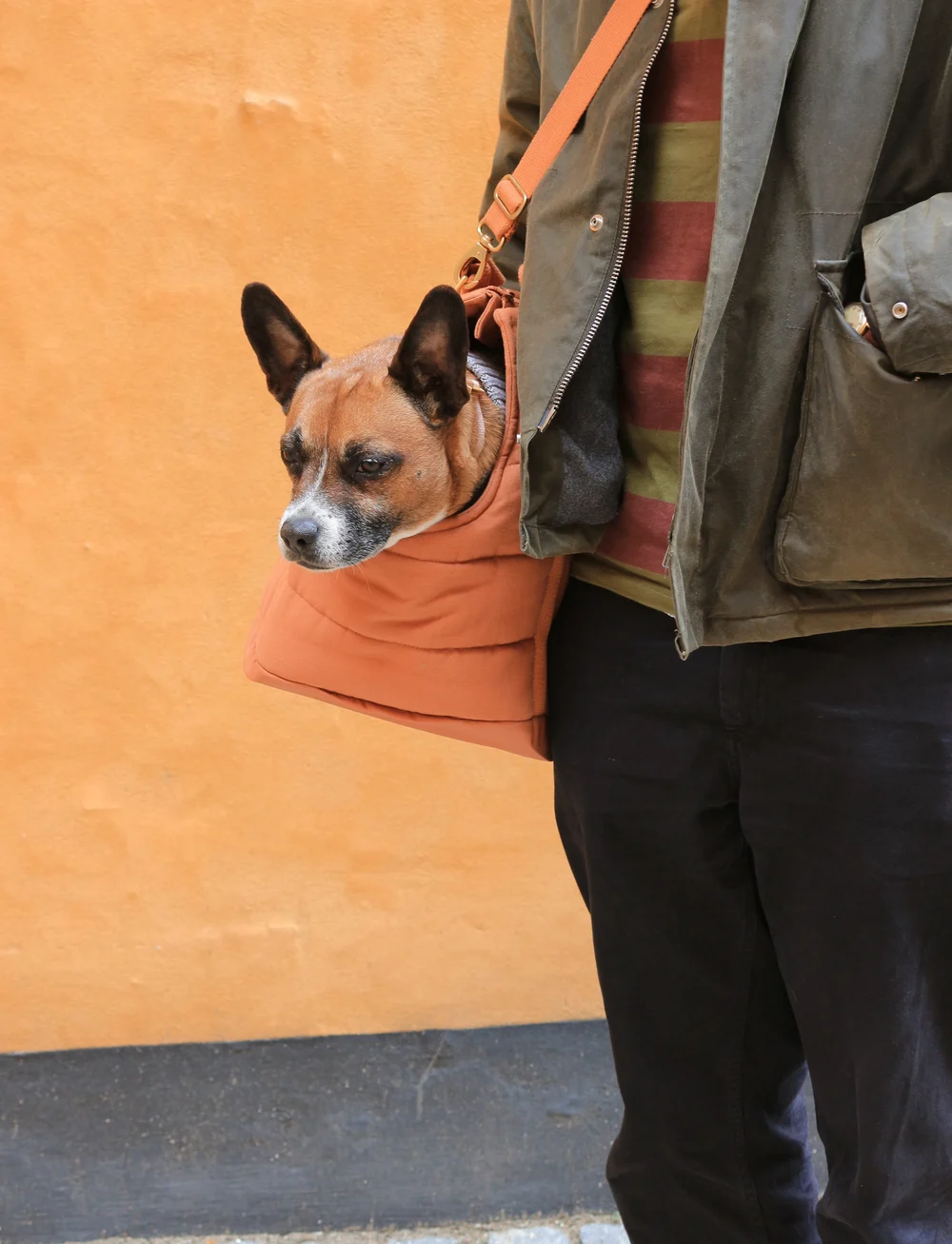tadazhi - RIO dog carrier bag - weihnachtsgeschenke - light brown - 1