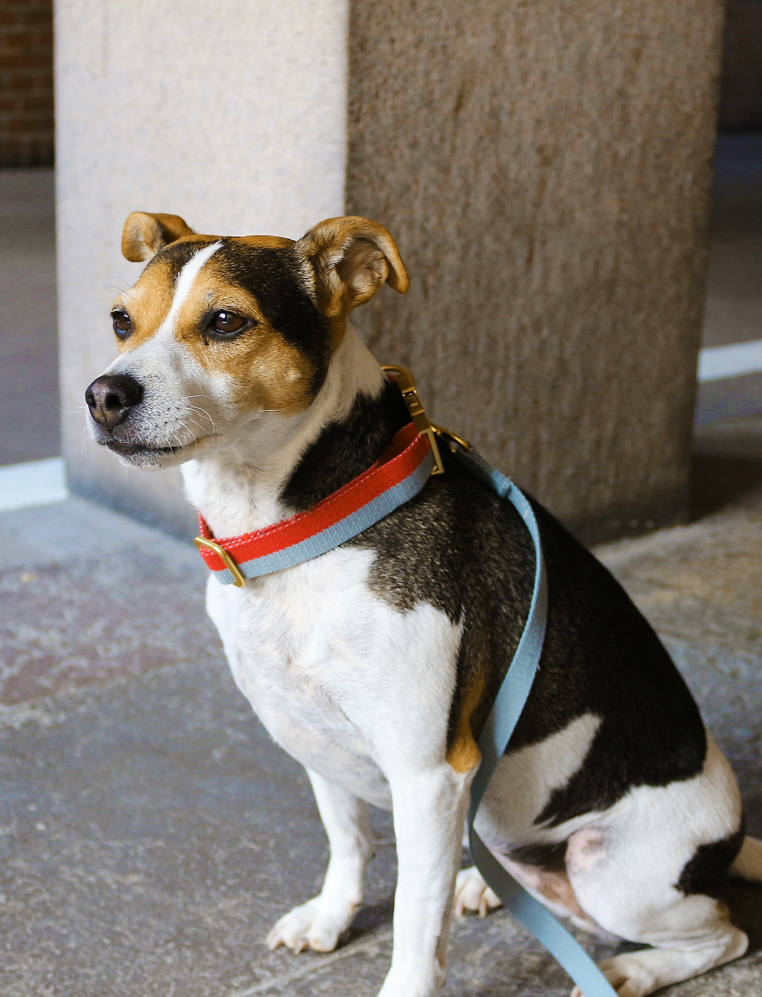 tadazhi - My collar - weihnachtsgeschenke - red/faded blue - 1