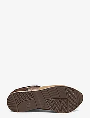 Tamaris - Women Lace-up - sneakers med lavt skaft - taupe comb - 4