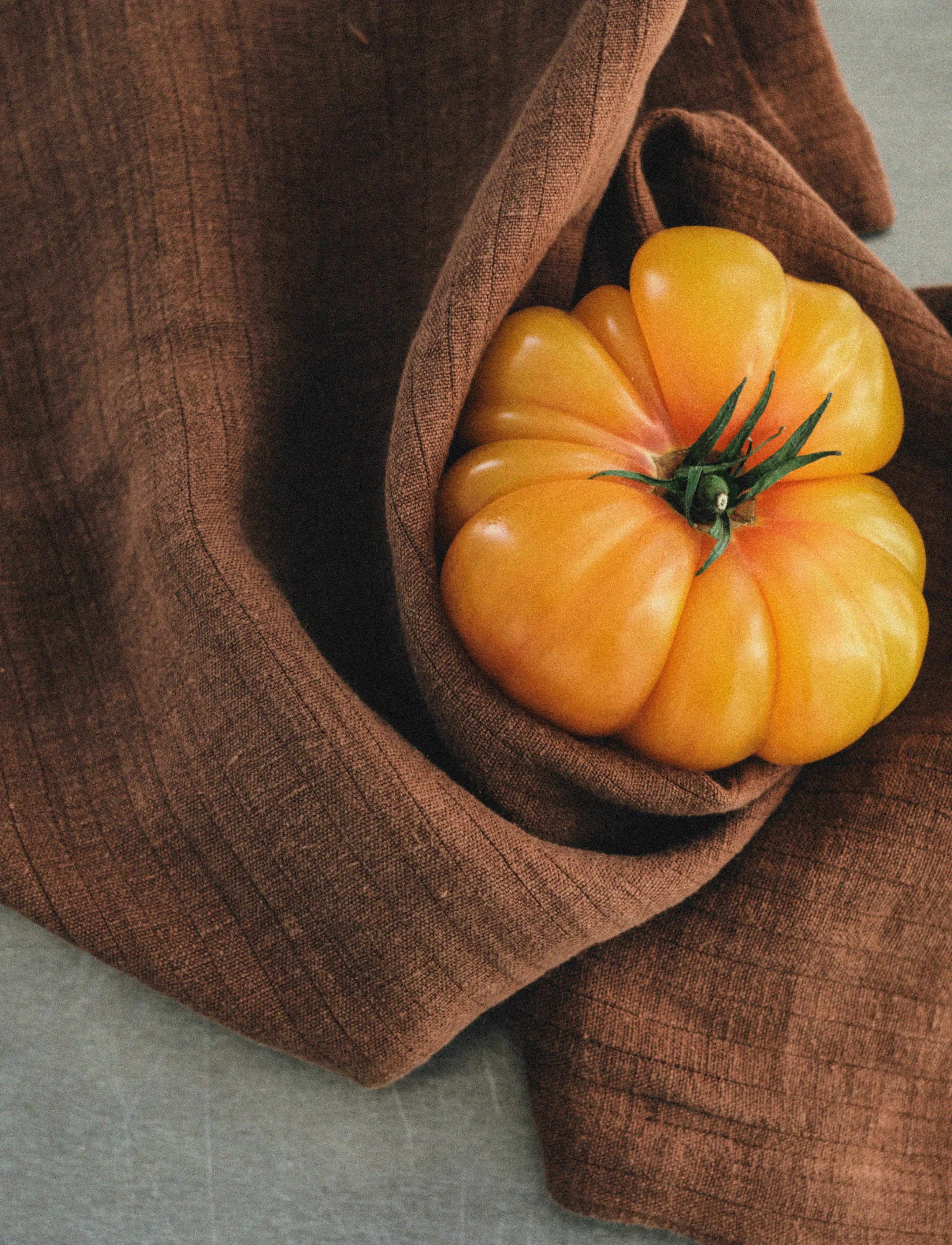 TAMEKO - Dale Linen Kitchen Towel (Set of 2) - rust - 1