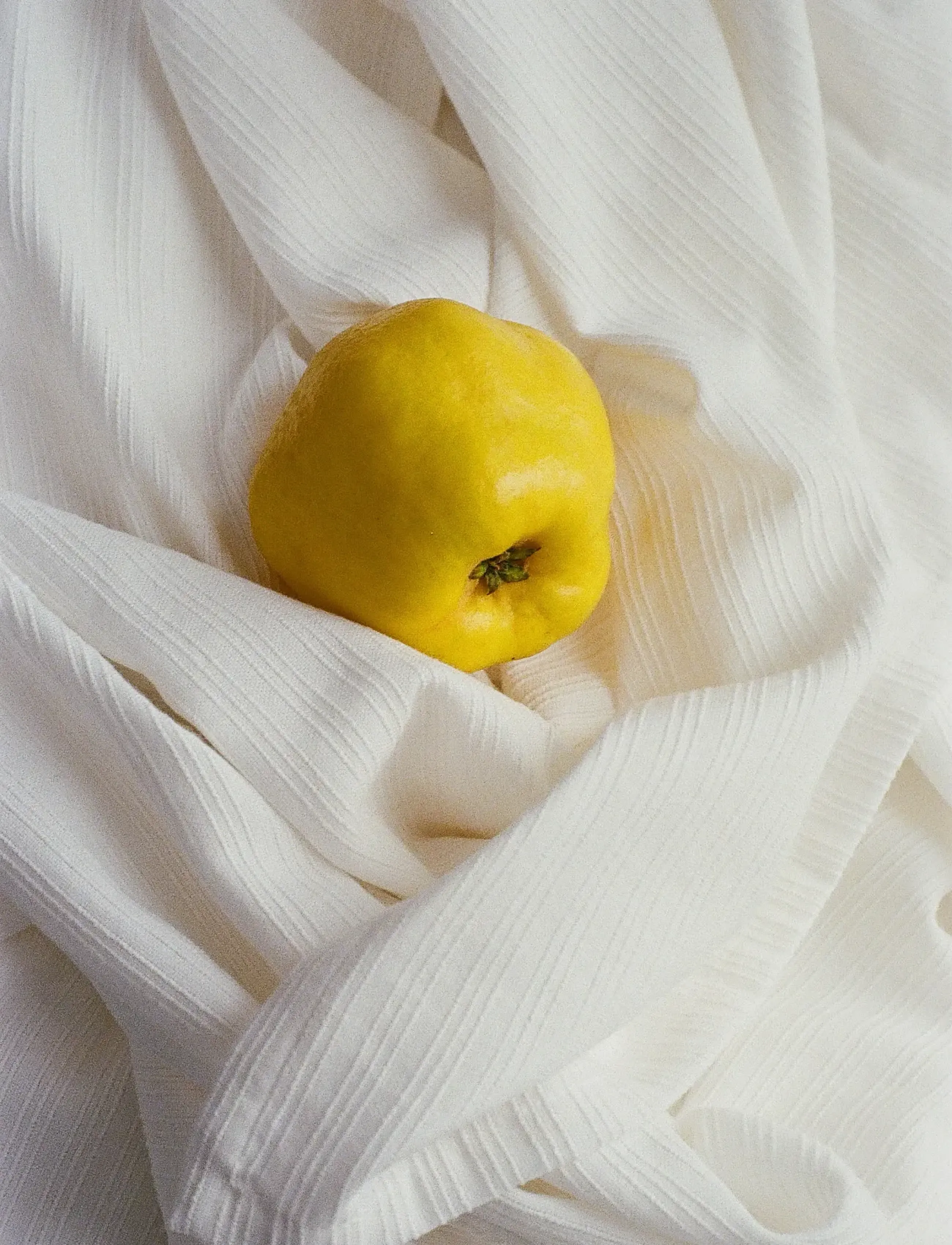 TAMEKO - Nami Cotton Towel - white - 5