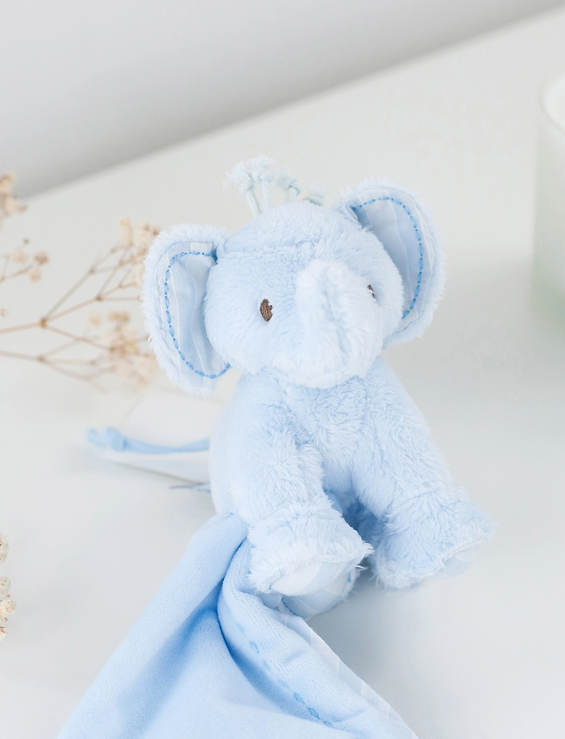 Tartine et chocolat elephant sales