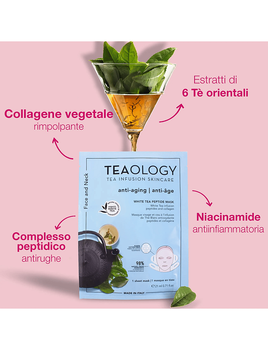 Teaology Skincare - Multipack 6x White Tea Peptide Mask - sheet masks - white tea - 3