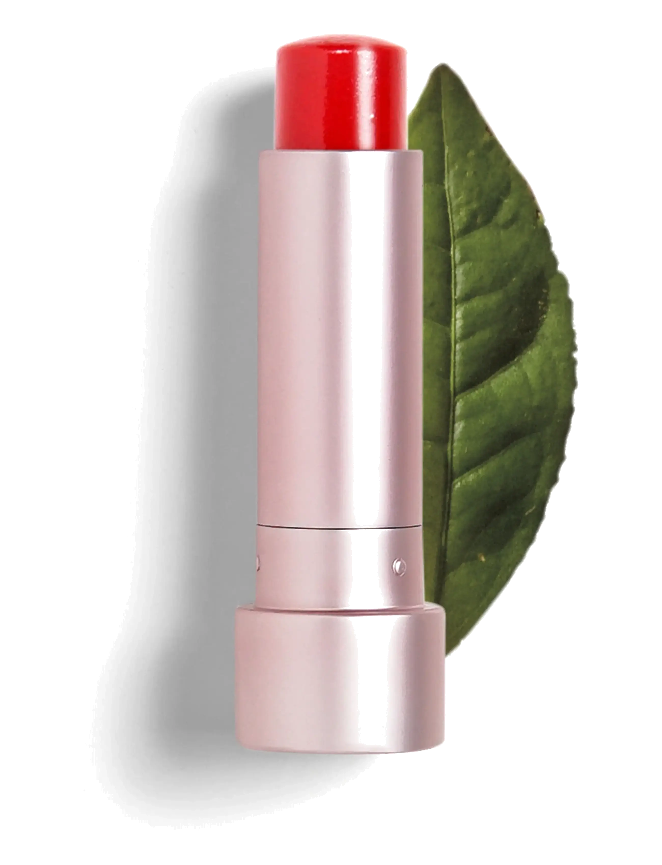 Teaology Skincare Tea Balm Tinted Lip Tretament, Læbepomade, Rød, Str: 4 GR