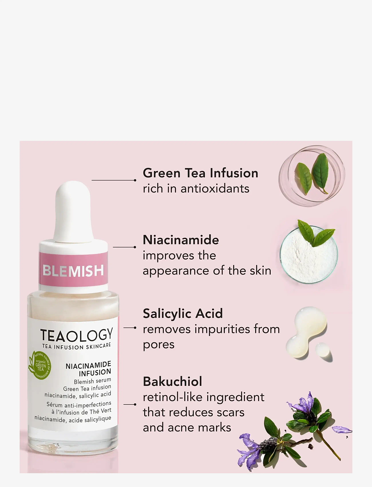 Teaology Skincare - Niacinamide Infusion - hudvård - green tea - 4