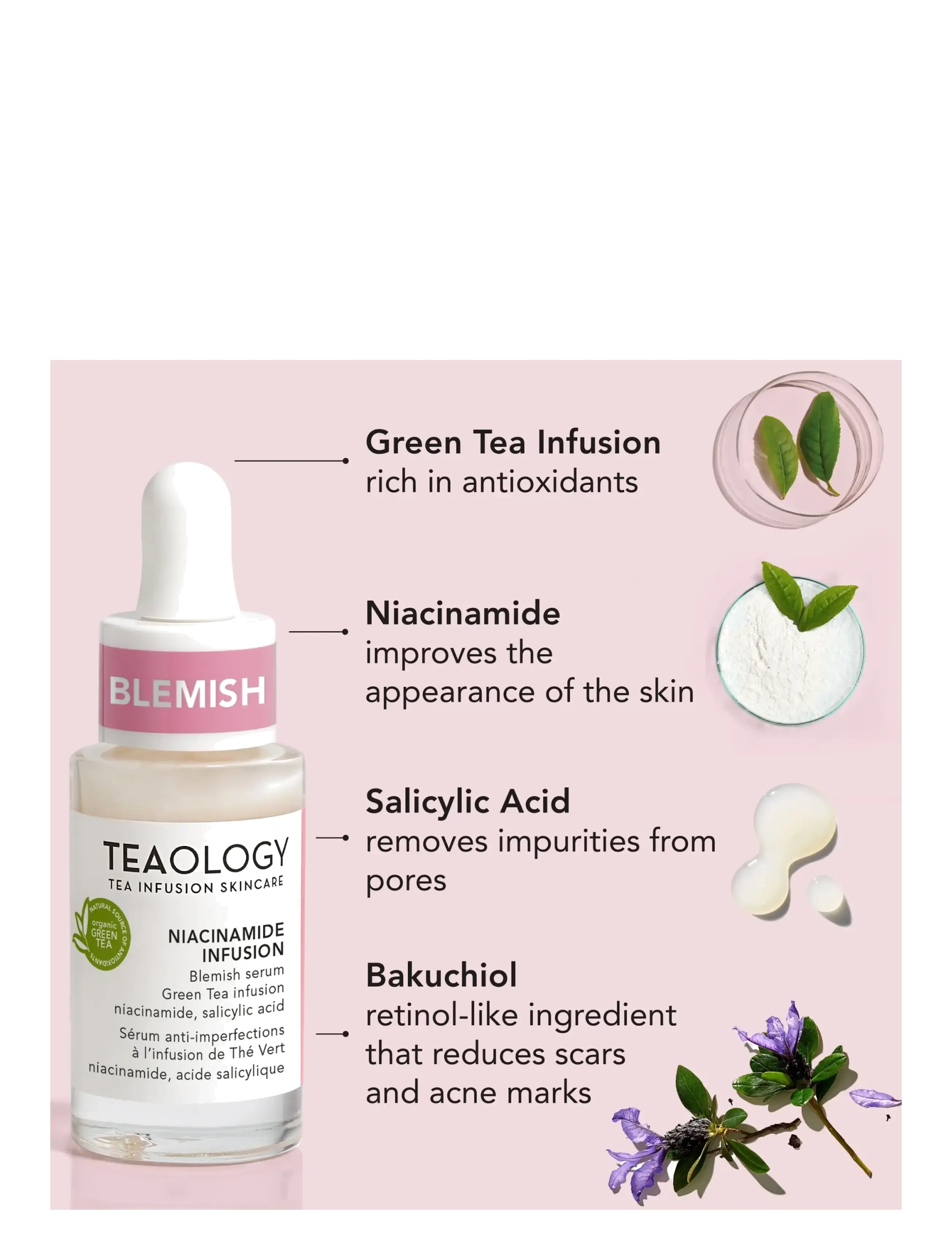 Teaology Skincare - Niacinamide Infusion - hudpleje - green tea - 4