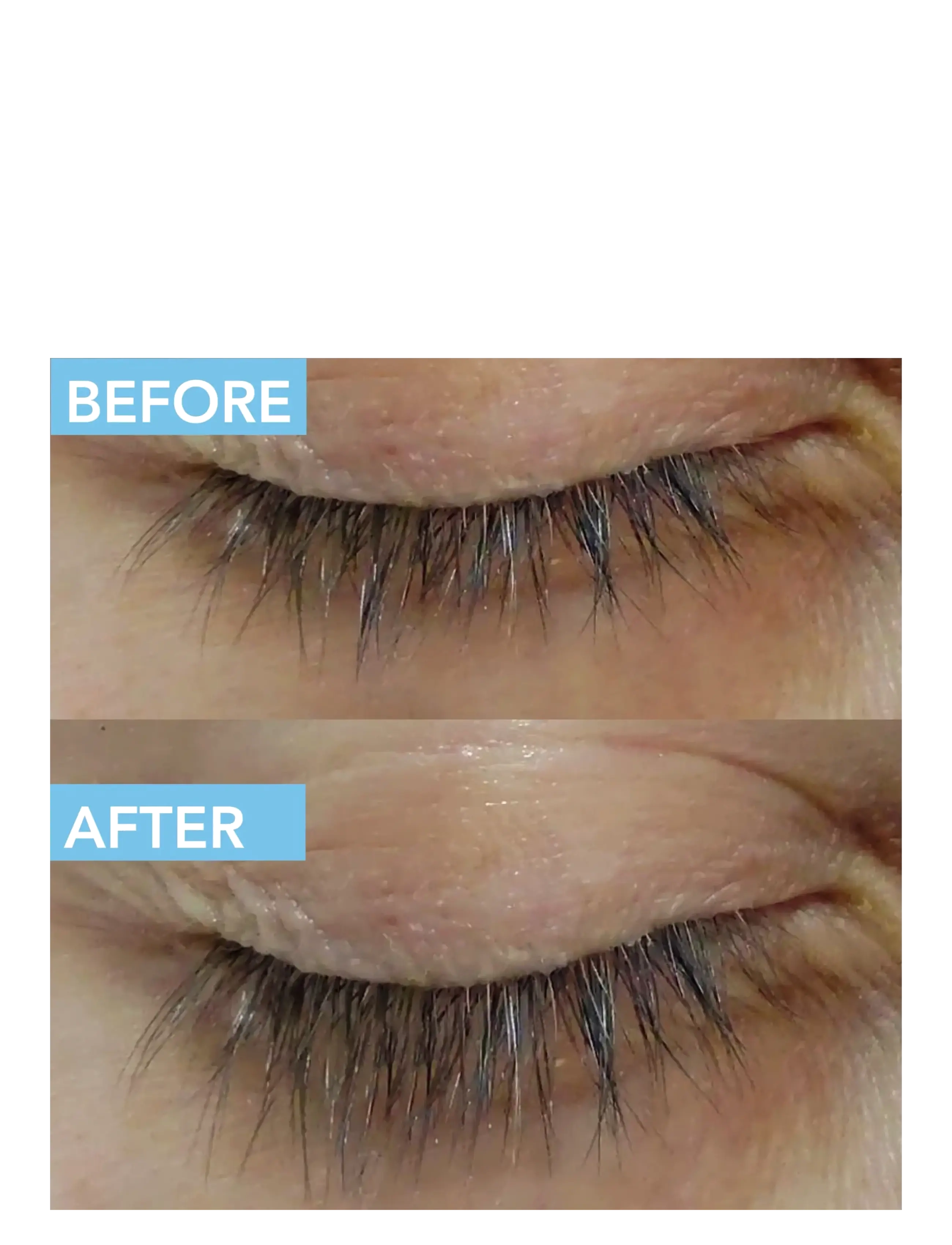 Teaology Skincare - Lash and Brow Peptide Infusion - Øjenvippeserummer - white tea - 3