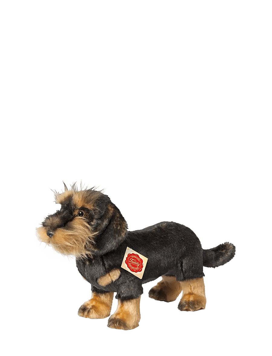 Teddy Hermann - Standing Rough-haired Dachshund 28 cm - tøjdyr - brown - 0