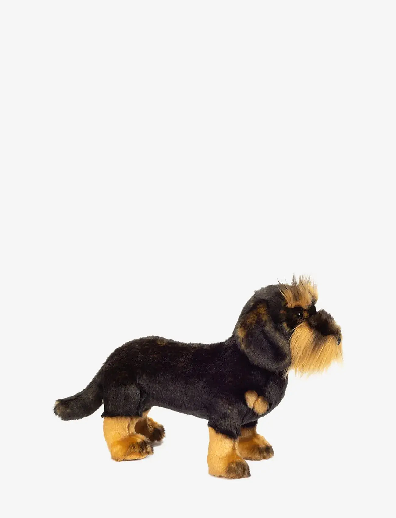 Teddy Hermann - Standing Rough-haired Dachshund 28 cm - stuffed animals - brown - 1
