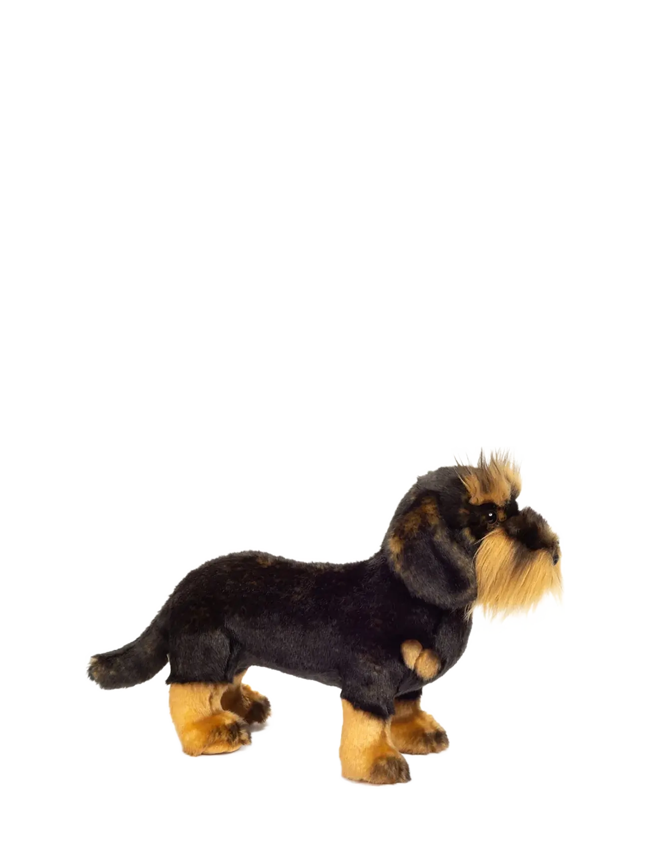 Teddy Hermann - Standing Rough-haired Dachshund 28 cm - tøjdyr - brown - 1