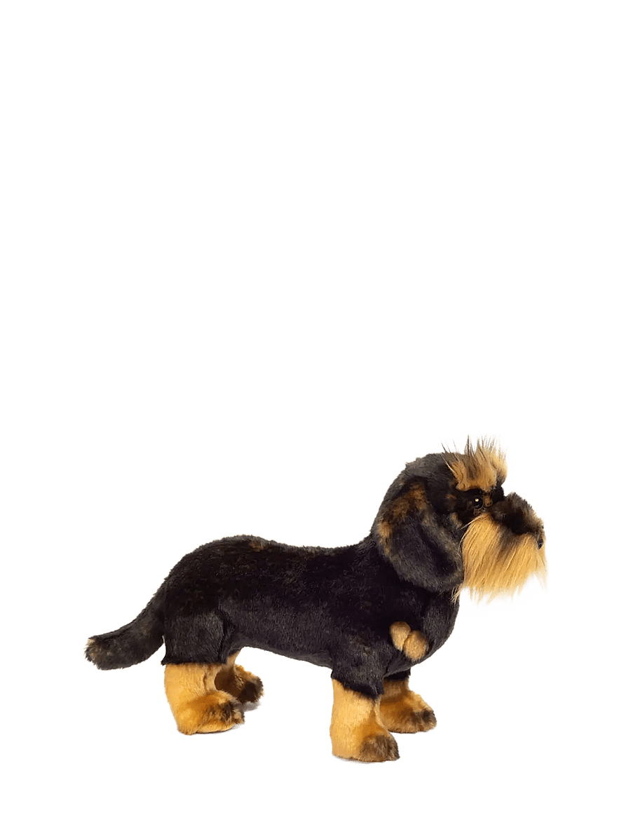 Teddy Hermann - Standing Rough-haired Dachshund 28 cm - tøjdyr - brown - 1