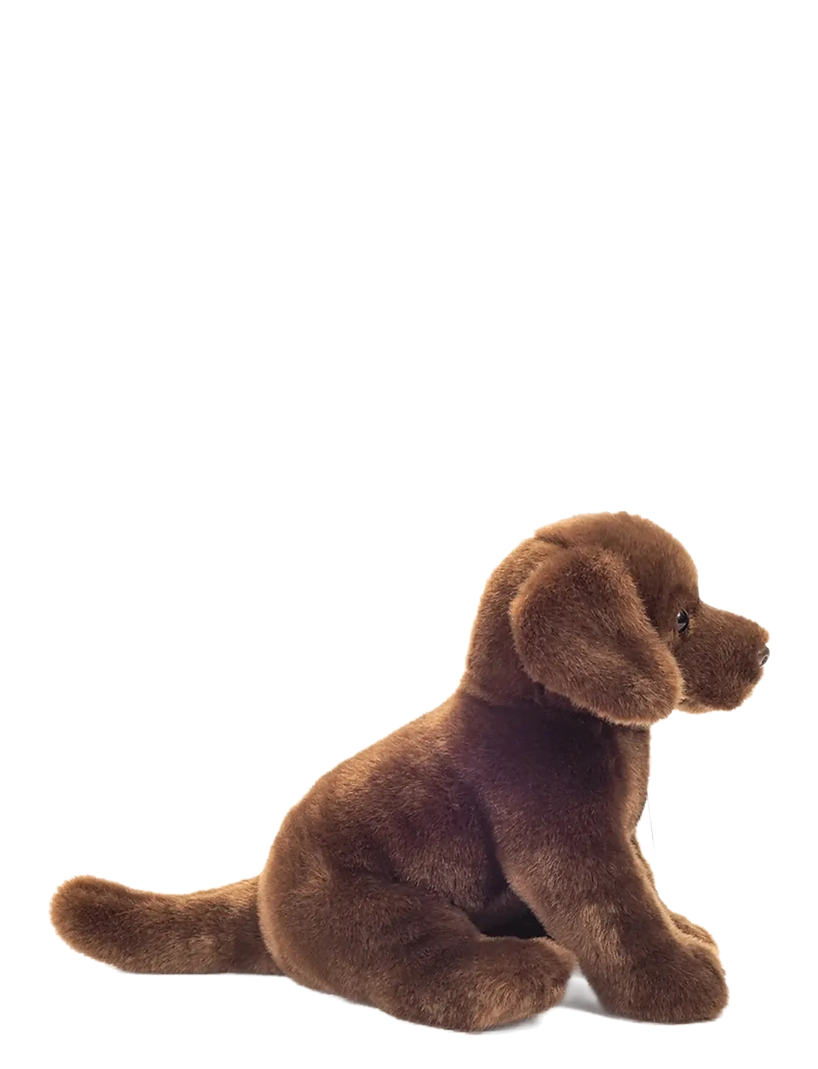 Teddy Hermann - Sitting Labrador dark brown 25 cm - pehmoeläimet - brown - 1