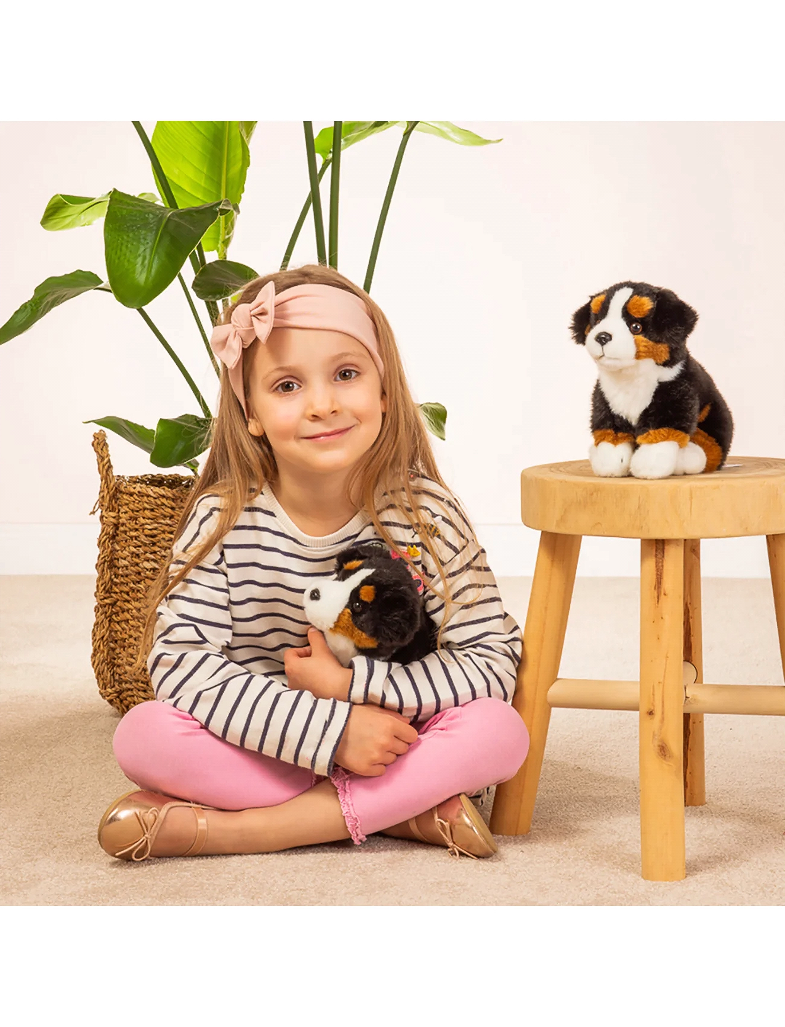 Teddy Hermann Sitting Bernese Mountain Dog 21 cm, 21 cm, Multi/patterned, Soft Legetøj > Stuffed Animals, Børn