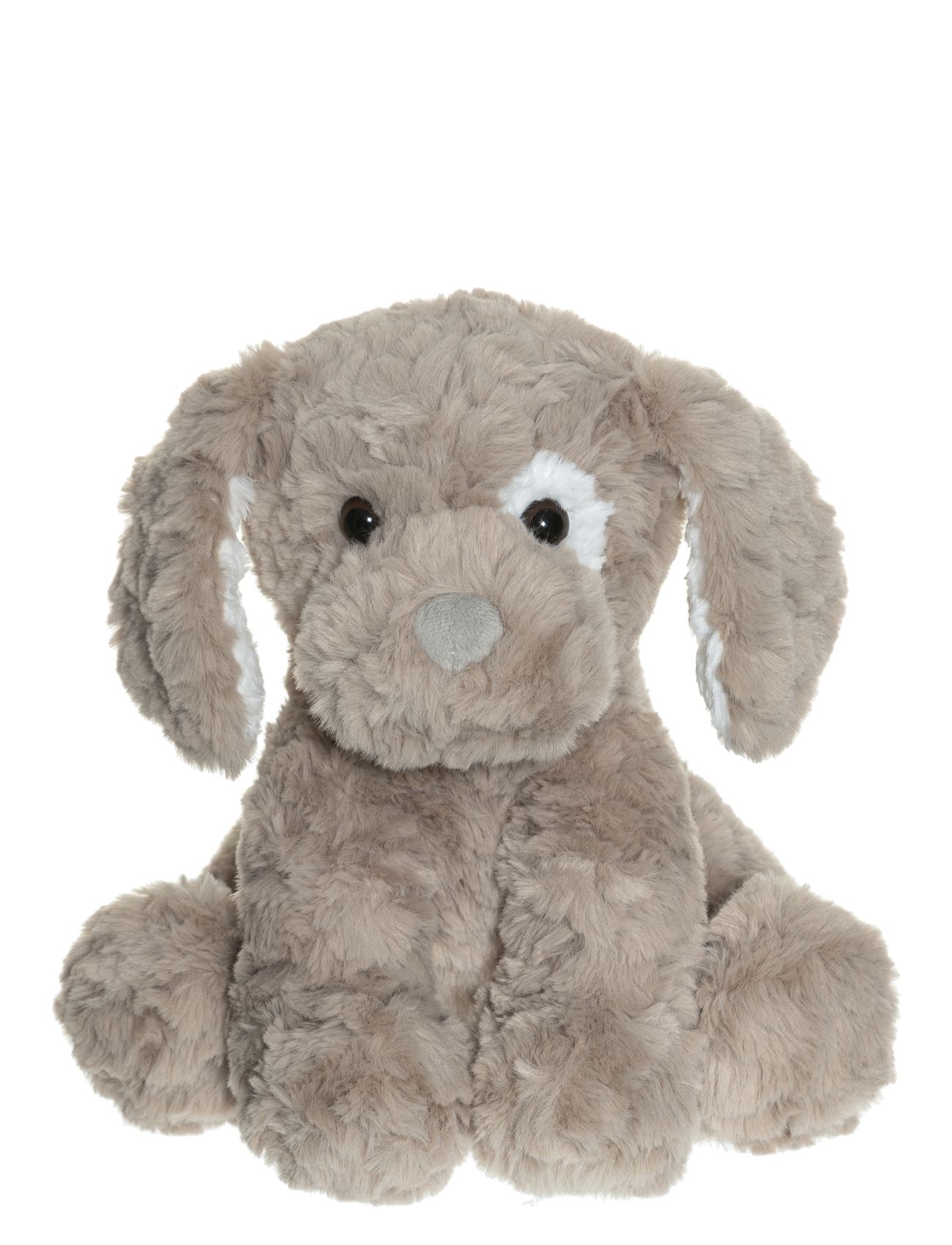 Teddy Dogs Hasse