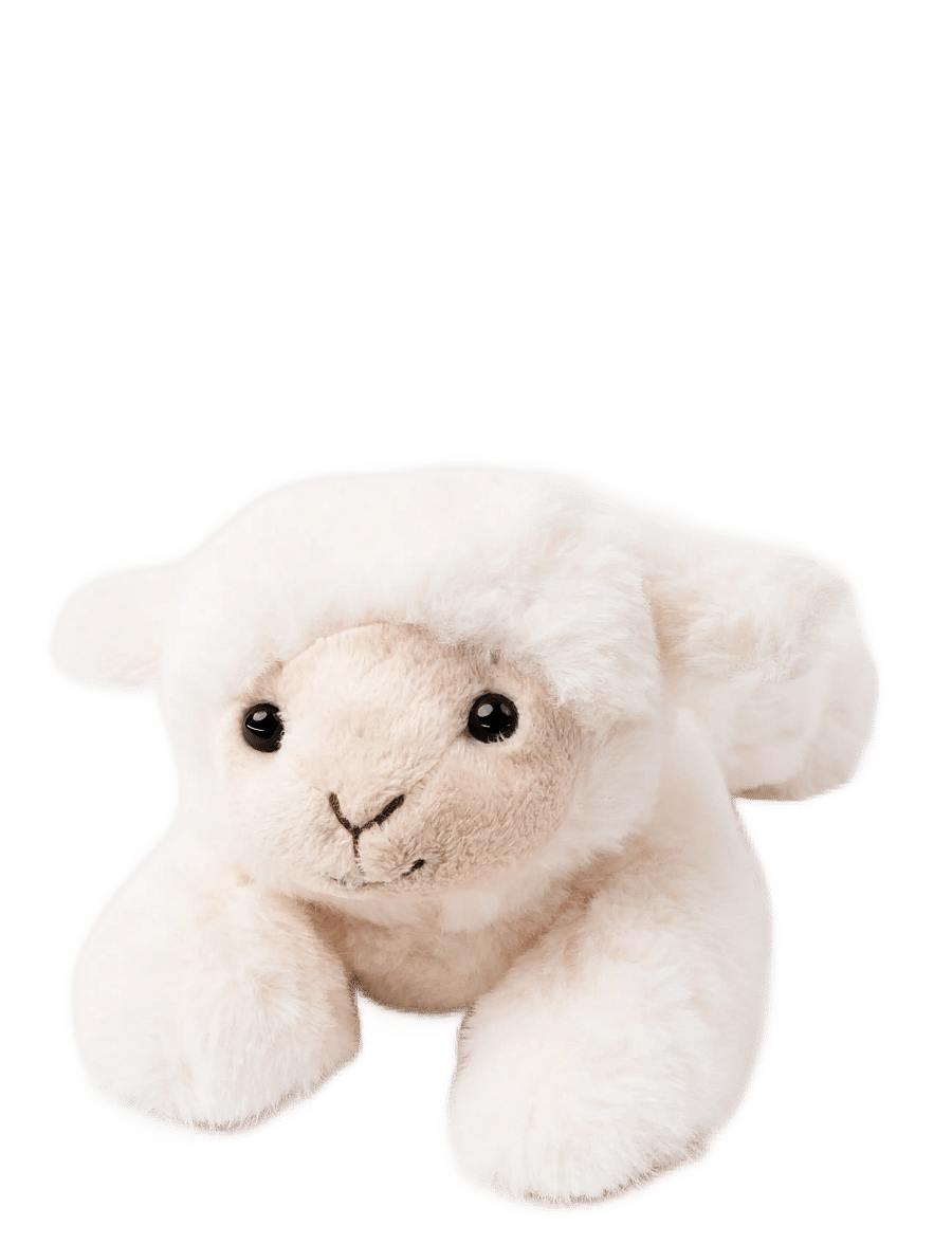 Teddykompaniet - Dreamies- Lamb, small - laagste prijzen - white - 0