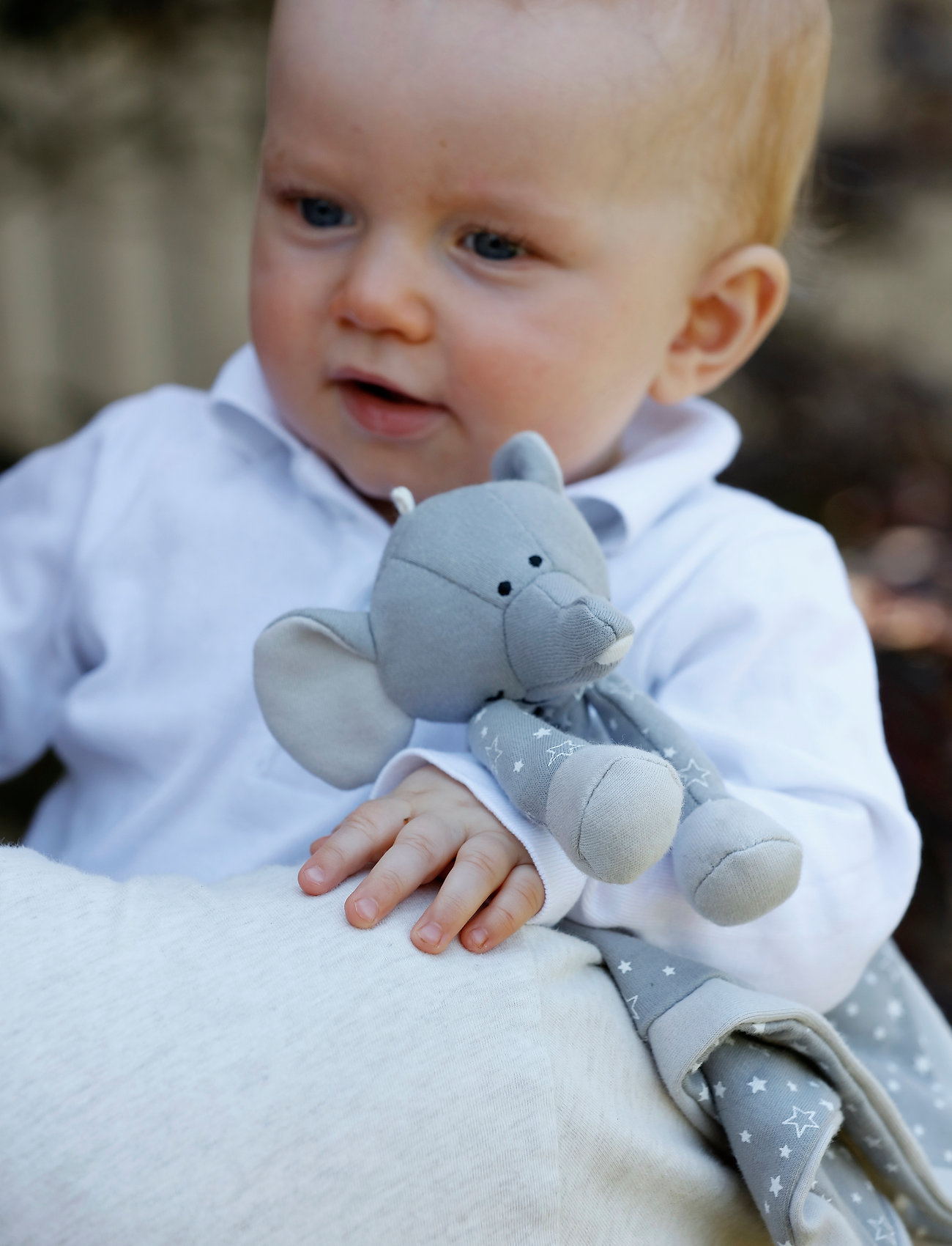 Teddykompaniet - Diinglisar Organic Stars Doudou elephant - kaisutekid - grey - 1