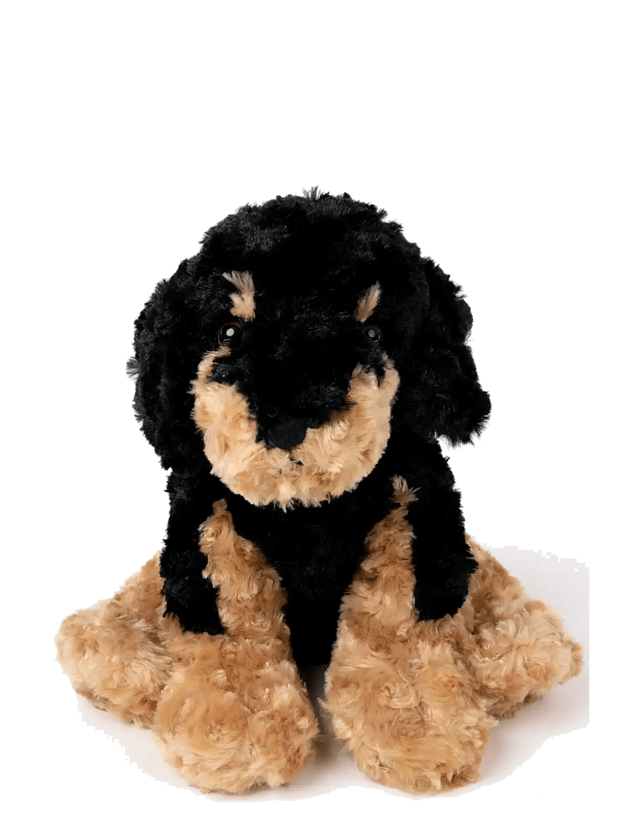 Teddykompaniet - Dog, brownblack - die niedrigsten preise - black - 0