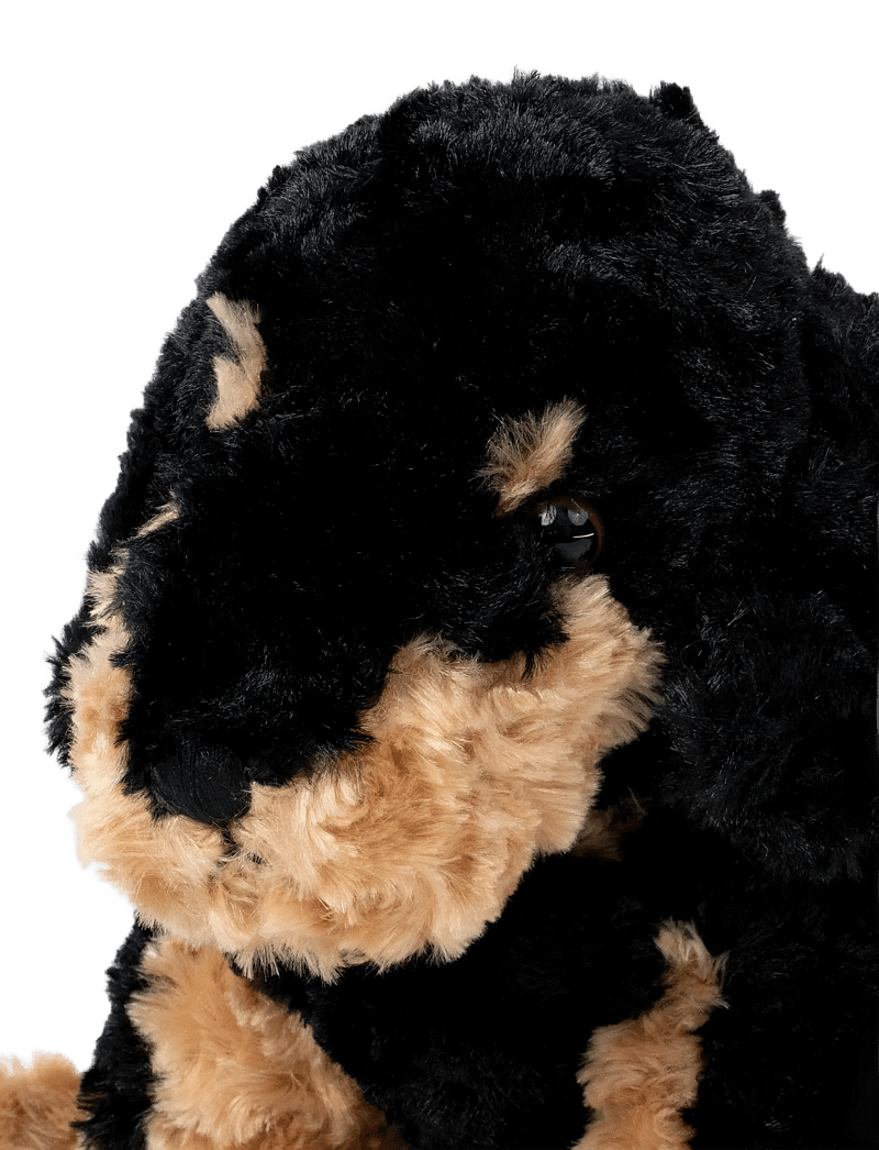 Teddykompaniet - Dog, brownblack - pehmed loomad - black - 3