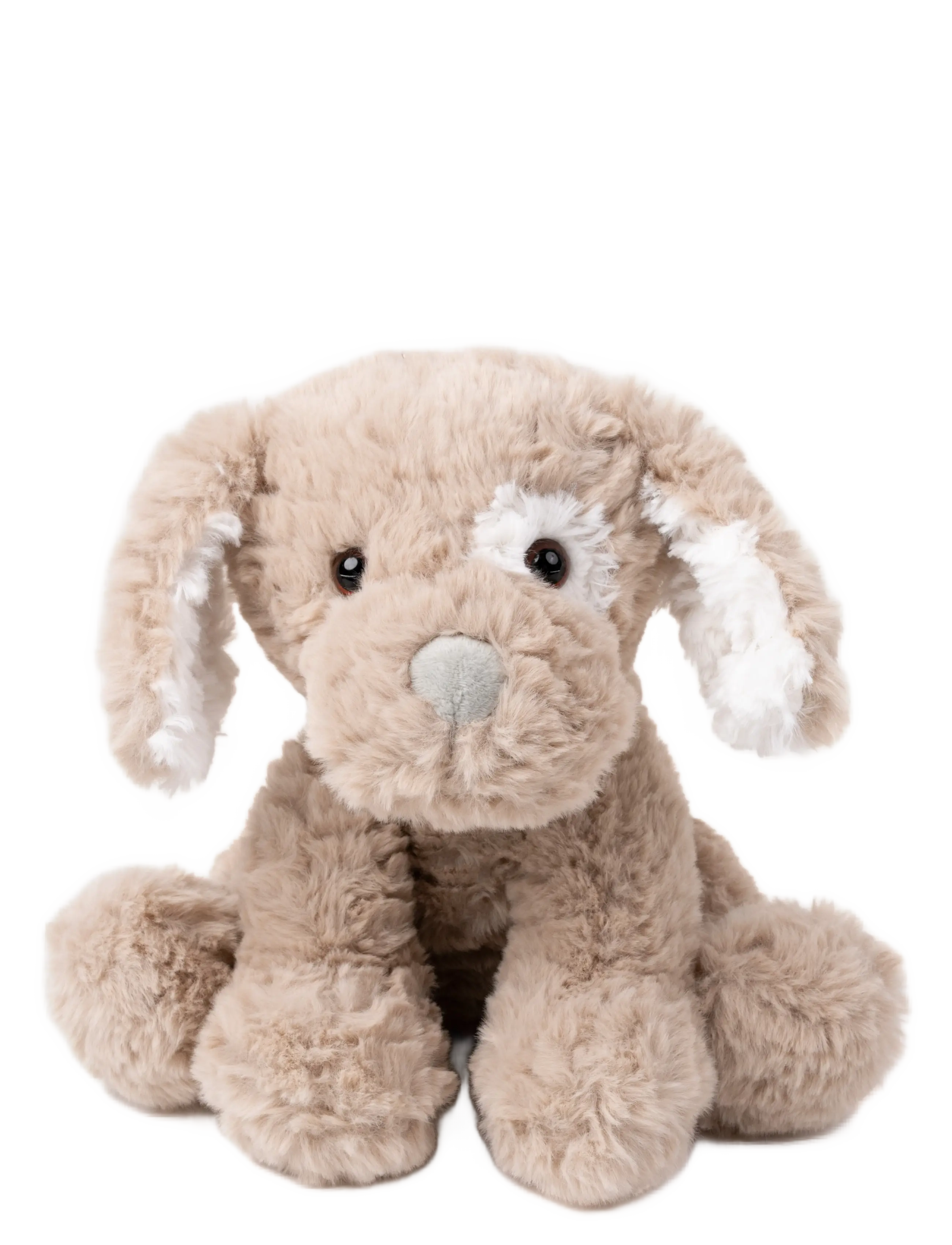 Teddy Dogs Hasse