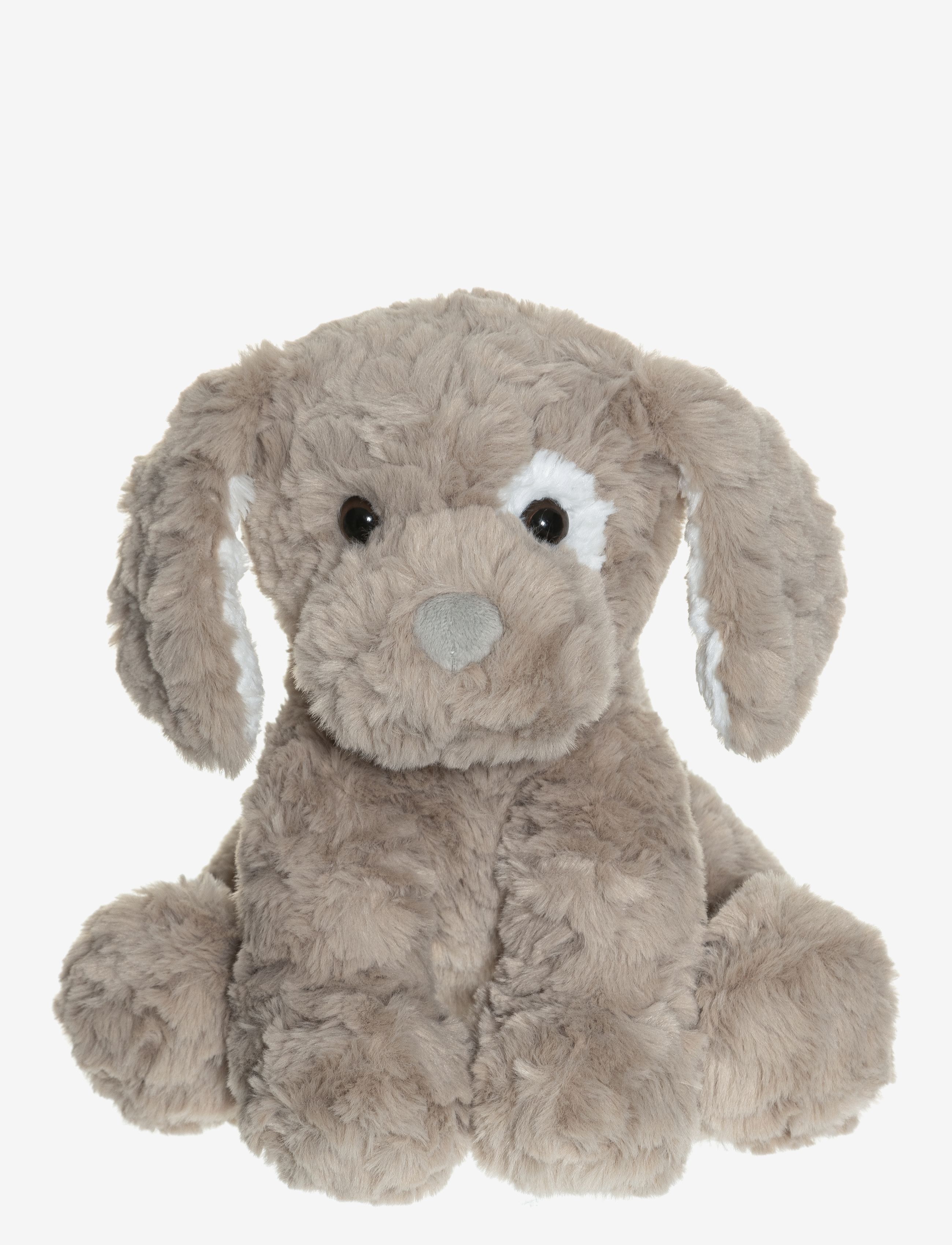 Teddykompaniet Hasse - Leker 0–2 år - BEIGE / beige