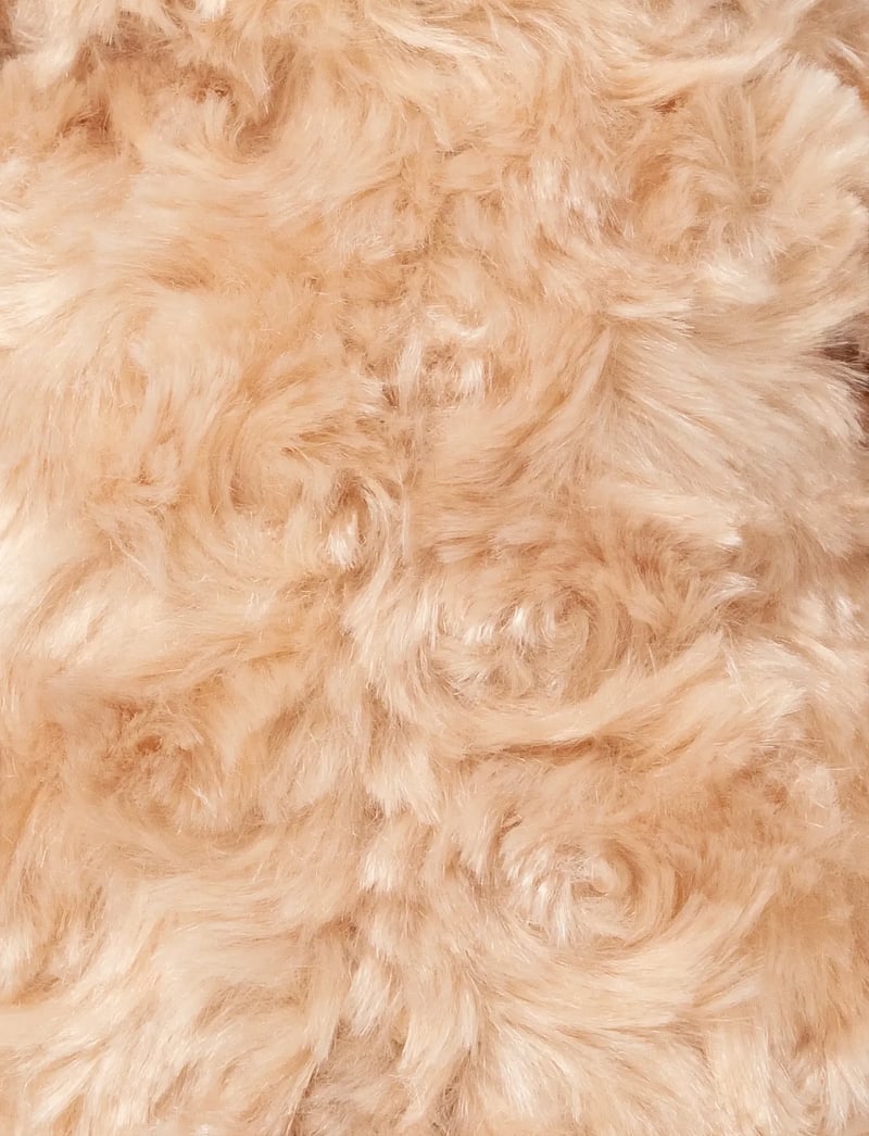 Teddykompaniet - Pontus, beige, big - teddybären - beige - 3