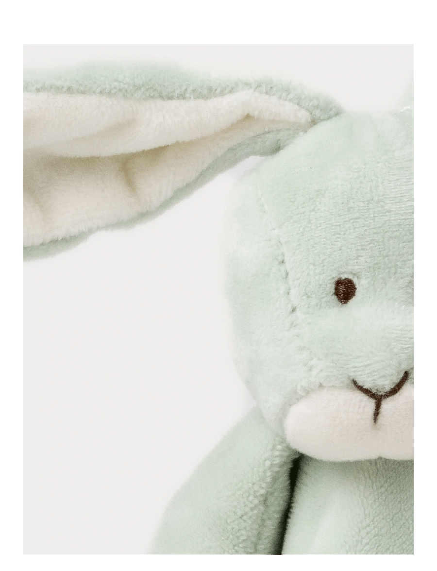 Teddykompaniet - Diinglisar Special Edition Rabbit Sage - schmusetuch - green - 2