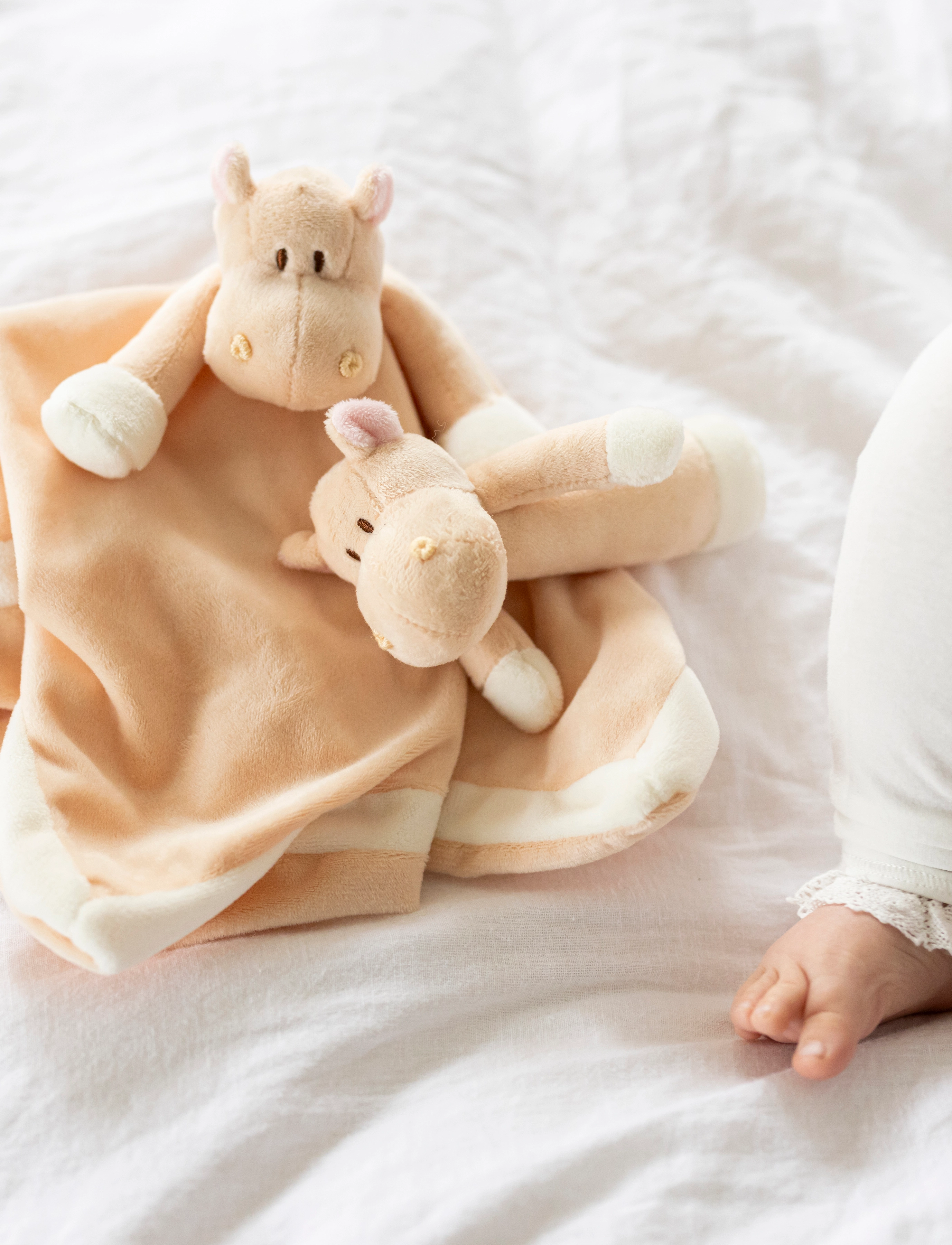 Teddykompaniet Diinglisar, Blankie, Hippo, Apricot, 35X35 cm, Orange, Babysøvn > Nusseklude, Børn