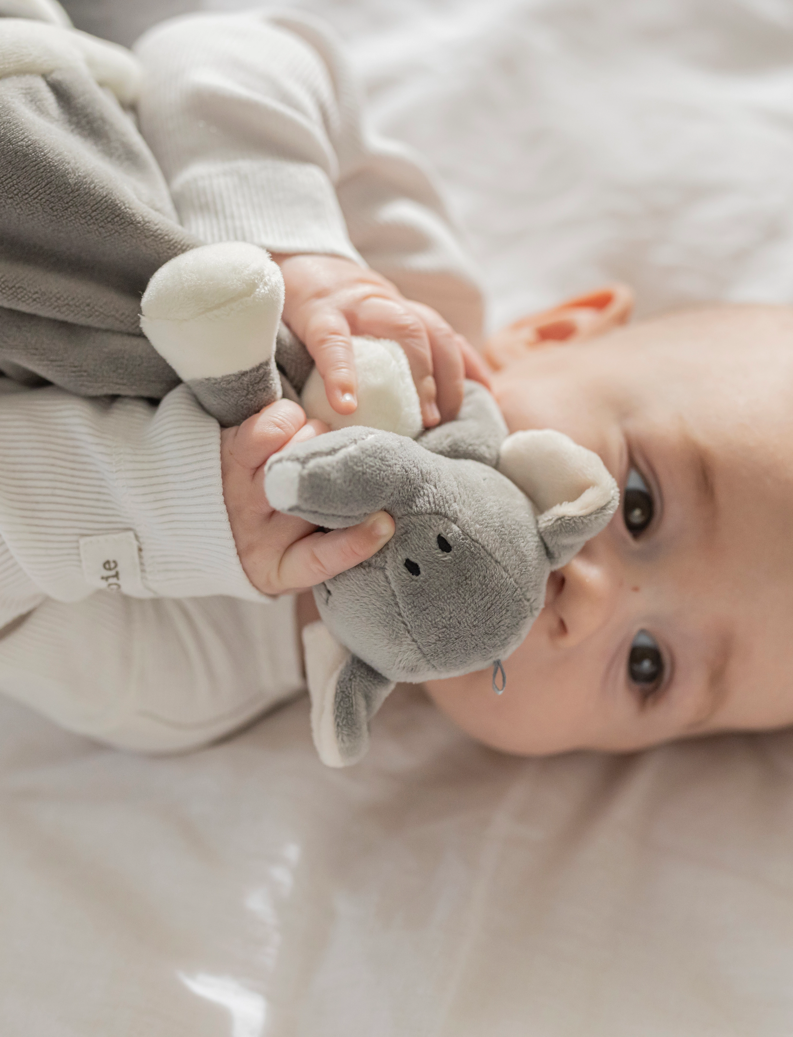 Teddykompaniet Diinglisar, Blankie, Elephant, Grey, 35X35 cm, Grey, Babysøvn > Nusseklude, Børn