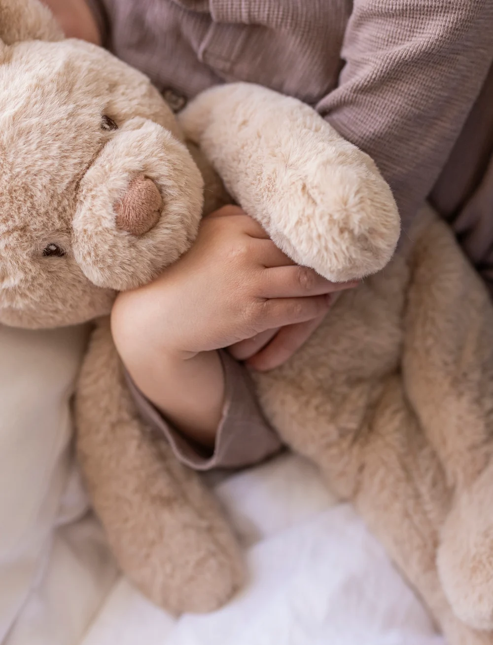 Teddykompaniet - Teddy Care, Sven, Weighted animal - kaisukarud - beige - 0