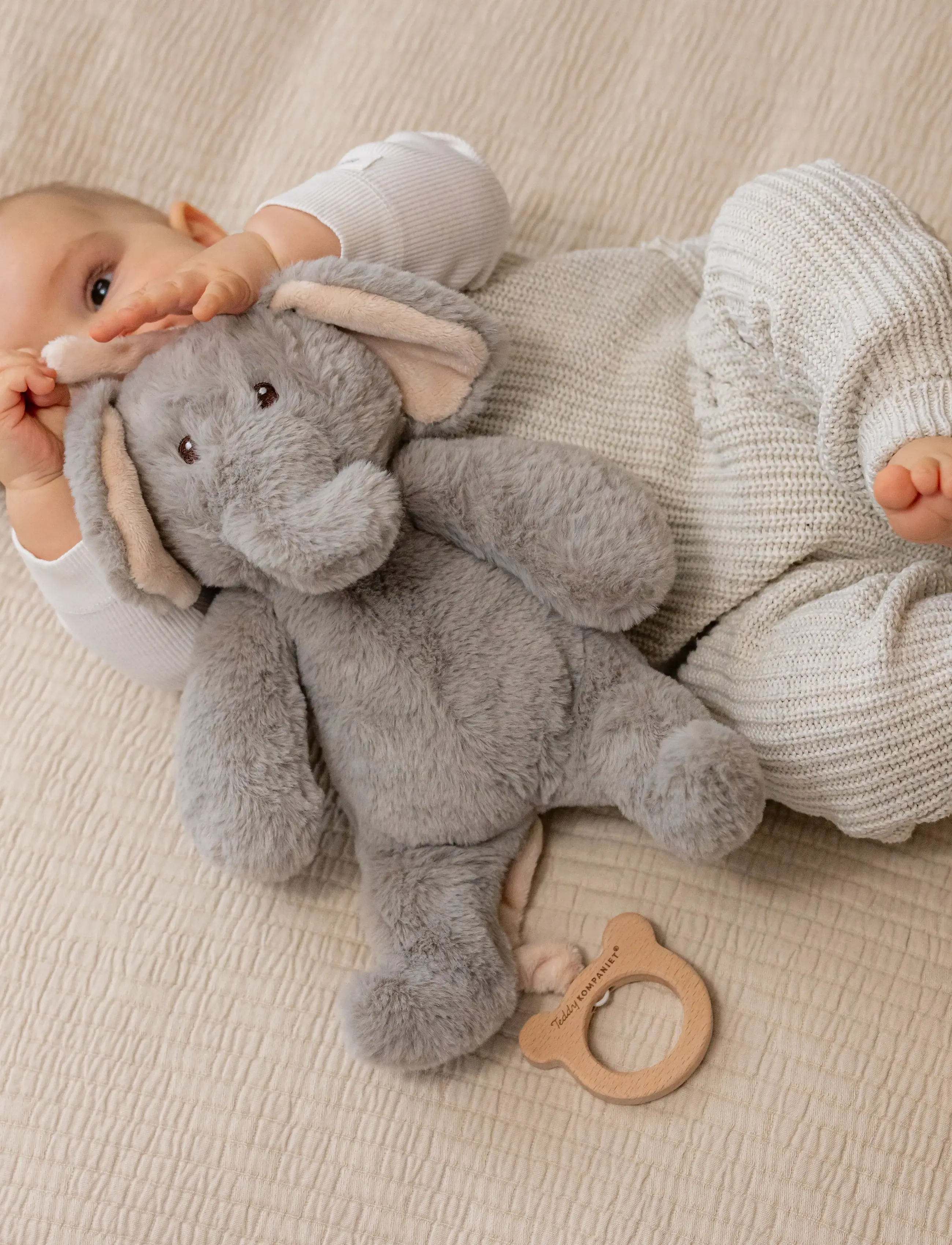 Teddykompaniet Kanin i morot med dragkedja - Teddykompaniet - ORANGE / orange