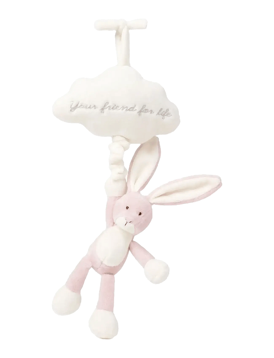 Teddykompaniet - Diinglisar, Speldosa Moln, Kanin, Dimrosa - die niedrigsten preise - pink - 0