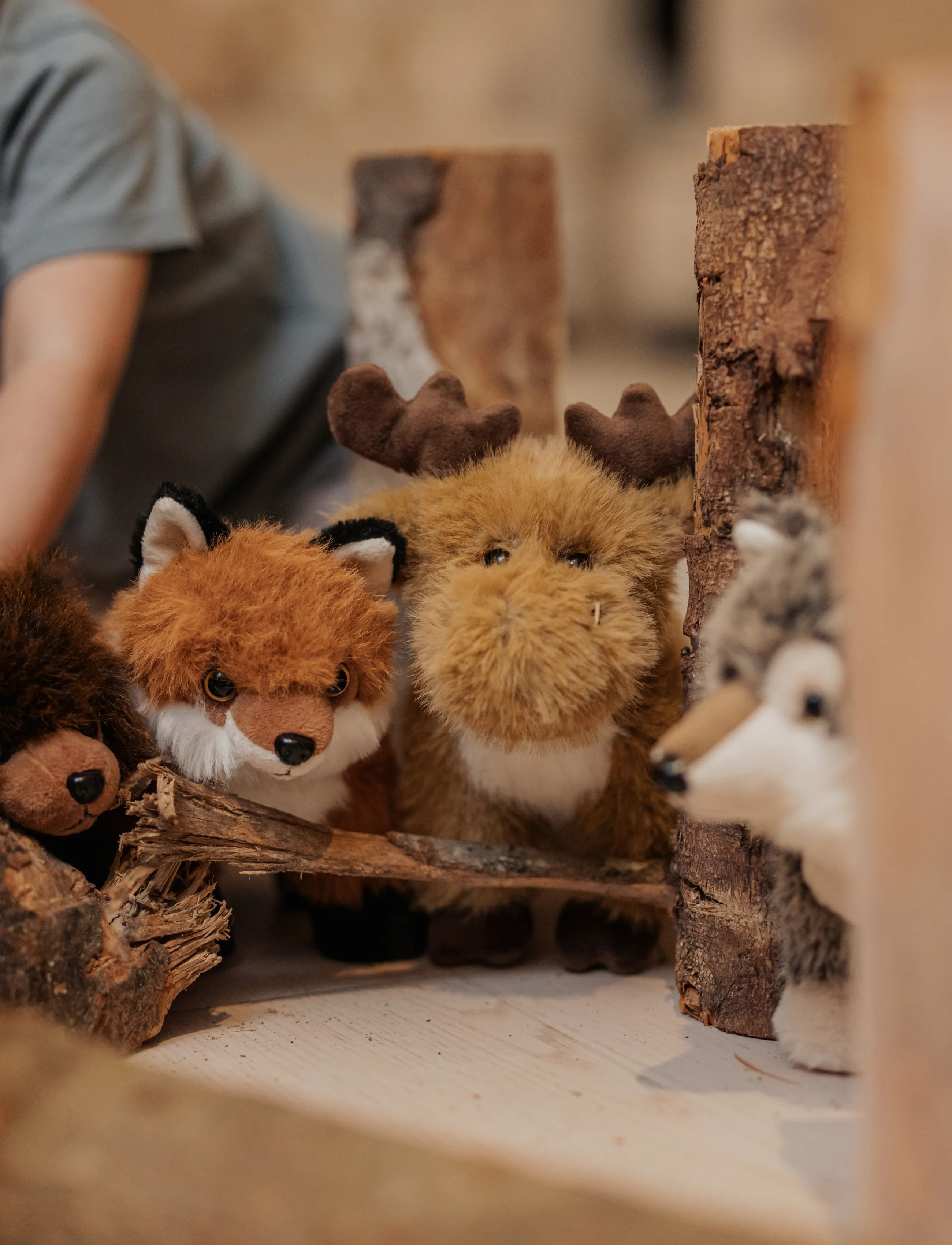 Teddykompaniet - Teddy Forest, Räv - mjukisdjur - orange - 4